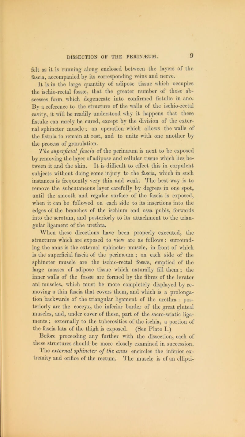 felt as it is running along enclosed between the layers of the fascia, accompanied by its corresponding veins and nerve. It is in the large quantity of adipose tissue which occupies the iscliio-rectal fossae, that the greater number of those ab- scesses form which degenerate into confirmed fistulm in ano. By a reference to the structure of the walls of the iscliio-rectal cavity, it will be readily understood why it happens that these fistulae can rarely be cured, except by the division of the exter- nal sphincter muscle ; an operation which allows the walls of the fistula to remain at rest, and to unite with one another by the process of granulation. The superficial fascia of the perinseum is next to be exposed by removing the layer of adipose and cellular tissue which lies be- tween it and the skin. It is difficult to effect this in corpulent subjects without doing some injury to the fascia, which in such instances is frequently very thin and weak. The best way is to remove the subcutaneous layer carefully by degrees in one spot, until the smooth and regular surface of the fascia is exposed, when it can be followed on each side to its insertions into the edges of the branches of the ischium and ossa pubis, forwards into the scrotum, and posteriorly to its attachment to the trian- gular ligament of the urethra. When these directions have been properly executed, the structures which are exposed to view are as follows : surround- ing the anus is the external sphincter muscle, in front of which is the superficial fascia of the perinseum ; on each side of the sphincter muscle are the iscliio-rectal fossse, emptied of the large masses of adipose tissue which naturally fill them ; the inner walls of the fossse are formed by the fibres of the levator ani muscles, which must be more completely displayed by re- moving a thin fascia that covers them, and which is a prolonga- tion backwards of the triangular ligament of the urethra : pos- teriorly are the coccyx, the inferior border of the great gluteal muscles, and, under cover of these, part of the sacro-sciatic liga- ments ; externally to the tuberosities of the ischia, a portion of the fascia lata of the thigh is exposed. (See Plate I.) Before proceeding any further with the dissection, each of these structures should be more closely examined in succession. The external sphincter of the anus encircles the inferior ex- tremity and orifice of the rectum. The muscle is of an ellipti-