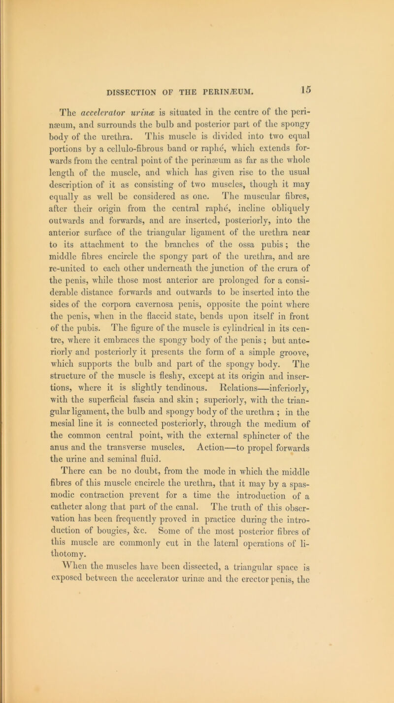 The accelerator urinre is situated in the centre of the peri- neum, and surrounds the bulb and posterior part of the spongy body of the urethra. This muscle is divided into two equal portions by a cellulo-fibrous band or raphe, which extends for- wards from the central point of the perineum as far as the whole length of the muscle, and which has given rise to the usual description of it as consisting of two muscles, though it may equally as well be considered as one. The muscular fibres, after their origin from the central raphe, incline obliquely outwards and forwards, and are inserted, posteriorly, into the anterior surface of the triangular ligament of the urethra near to its attachment to the branches of the ossa pubis; the middle fibres encircle the spongy part of the urethra, and are re-united to each other underneath the junction of the crura of the penis, while those most anterior are prolonged for a consi- derable distance forwards and outwards to be inserted into the sides of the corpora cavernosa penis, opposite the point where the penis, when in the flaccid state, bends upon itself in front of the pubis. The figure of the muscle is cylindrical in its cen- tre, where it embraces the spongy body of the penis; but ante- riorly and posteriorly it presents the form of a simple groove, which supports the bulb and part of the spongy body. The structure of the muscle is fleshy, except at its origin and inser- tions, where it is slightly tendinous. Relations—inferiorly, with the superficial fascia and skin ; superiorly, with the trian- gular ligament, the bulb and spongy body of the urethra ; in the mesial line it is connected posteriorly, through the medium of the common central point, with the external sphincter of the anus and the transverse muscles. Action—to propel forwards the urine and seminal fluid. There can be no doubt, from the mode in which the middle fibres of this muscle encircle the urethra, that it may by a spas- modic contraction prevent for a time the introduction of a catheter along that part of the canal. The truth of this obser- vation has been frequently proved in practice during the intro- duction of bougies, &c. Some of the most posterior fibres of this muscle are commonly cut in the lateral operations of li- Wlien the muscles have been dissected, a triangular space is exposed between the accelerator urinse and the erector penis, the