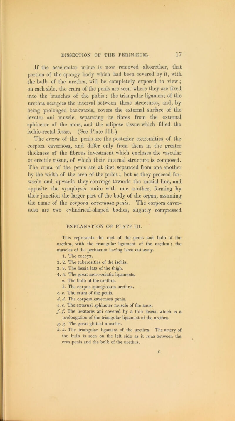 If the accelerator urinae is now removed altogether, that portion of the spongy body which had been covered by it, with the bulb of the urethra, will be completely exposed to view; on each side, the crura of the penis are seen where they are fixed into the branches of the pubis; the triangular ligament of the urethra occupies the interval between these structures, and, by being prolonged backwards, covers the external surface of the levator ani muscle, separating its fibres from the external sphincter of the anus, and the adipose tissue which filled the ischio-rectal fossse. (See Plate III.) The crura of the penis are the posterior extremities of the corpora cavernosa, and differ only from them in the greater thickness of the fibrous investment which encloses the vascular or erectile tissue, of which their internal structure is composed. The crura of the penis are at first separated from one another by the width of the arch of the pubis ; but as they proceed for- wards and upwards they converge towards the mesial line, and opposite the symphysis unite with one another, forming by their junction the larger part of the body of the organ, assuming the name of the corpora cavernosa penis. The corpora caver- nosa are two cylindrical-shaped bodies, slightly compressed EXPLANATION OF PLATE III. This represents the root of the penis and bulb of the urethra, with the triangular ligament of the urethra ; the muscles of the perinaeum having been cut away. 1. The coccyx. 2. 2. The tuberosities of the ischia. 3. 3. The fascia lata of the thigh. 4. 4. The great sacro-sciatic ligaments. a. The bulb of the urethra. b. The corpus spongiosum urethrae. c. c. The crura of the penis. d. d. The corpora cavernosa penis. e. e. The external sphincter muscle of the anus. f. f. The levatores ani covered by a thin fascia, which is a prolongation of the triangular ligament of the urethra. g. g. The great gluteal muscles. h. h. The triangular ligament of the urethra. The artery of the bulb is seen on the left side as it runs between the crus penis and the bulb of the urethra. C