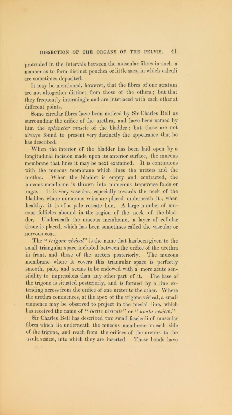 protruded in tlie intervals between the muscular fibres in such a manner as to form distinct pouches or little sacs, in which calculi are sometimes deposited. It may be mentioned, however, that the fibres of one stratum are not altogether distinct from those of the others ; but that they frequently intermingle and are interlaced with each other at different points. Some circular fibres have been noticed bv Sir Charles Bell as •> surrounding the orifice of the urethra, and have been named by him the sphincter muscle of the bladder ; but these are not always found to present very distinctly the appearance that he has described. When the interior of the bladder has been laid open by a longitudinal incision made upon its anterior surface, the mucous membrane that lines it may be next examined. It is continuous with the mucous membrane which lines the ureters and the urethra. When the bladder is empty and contracted, the mucous membrane is thrown into numerous transverse folds or rugae. It is very vascular, especially towards the neck of the bladder, where numerous veins are placed underneath it; when healthy, it is of a pale roseate hue. A large number of mu- cous follicles abound in the region of the neck of the blad- der. Underneath the mucous membrane, a layer of cellular tissue is placed, which has been sometimes called the vascular or nervous coat. The “ trigone vesicaV is the name that has been given to the small triangular space included between the orifice of the urethra in front, and those of the ureters posteriorly. The mucous membrane where it covers this triangular space is perfectly smooth, pale, and seems to be endowed with a more acute sen- sibility to impressions than any other part of it. The base of the trigone is situated posteriorly, and is formed by a line ex- tending across from the orifice of one ureter to the other. Where the urethra commences, at the apex of the trigone vesical, a small eminence may be observed to project in the mesial line, which has received the name of “ luette vesicale” or “ uvula vesiccc Sir Charles Bell has described two small fasciculi of muscular fibres which lie underneath the mucous membrane on each side of the trigone, and reach from the orifices of the ureters to the uvula vesiem, into which they are inserted. These bands have