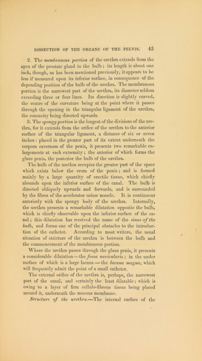 2. The membranous portion of the urethra extends from the apex of the prostate gland to the bulb ; its length is about one inch, though, as has been mentioned previously, it appears to be less if measured upon its inferior surface, in consequence of the depending position of the bulb of the urethra. The membranous portion is the narrowest part of the urethra, its diameter seldom exceeding three or four lines. Its direction is slightly curved, the centre of the curvature being at the point where it passes through the opening in the triangular ligament of the urethra, the concavity being directed upwards. 3. The spongy portion is the longest of the divisions of the ure- thra, for it extends from the orifice of the urethra to the anterior surface of the triangular ligament, a distance of six or seven inches : placed in the greater part of its extent underneath the corpora cavernosa of the penis, it presents two remarkable en- largements at each extremity ; the anterior of which forms the glans penis, the posterior the bulb of the urethra. The bulb of the urethra occupies the greater part of the space which exists below the crura of the penis ; and is formed mainly by a large quantity of erectile tissue, which chiefly abounds upon the inferior surface of the canal. The bulb is directed obliquely upwards and forwards, and is surrounded by the fibres of the accelerator urinae muscle. It is continuous anteriorly with the spongy body of the urethra. Internally, the urethra presents a remarkable dilatation opposite the bulb, which is chiefly observable upon the inferior surface of the ca- nal ; this dilatation has received the name of the sinus of the bulb, and forms one of the principal obstacles to the introduc- tion of the catheter. According to most writers, the usual situation of stricture of the urethra is between the bulb and the commencement of the membranous portion. Where the urethra passes through the glans penis, it presents a considerable dilatation—the fossa navicularis ; in the under surface of which is a large lacuna — the lacuna magna, which will frequently admit the point of a small catheter. The external orifice of the urethra is, perhaps, the narrowest part of the canal, and certainly the least dilatable; which is owing to a layer of firm ccllulo-fibrous tissue being placed around it, underneath the mucous membrane. Structure of the urethra.—The internal surface of the