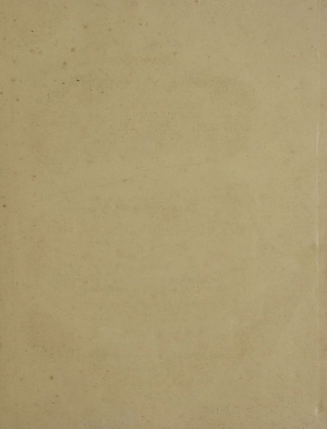 digitised image 3