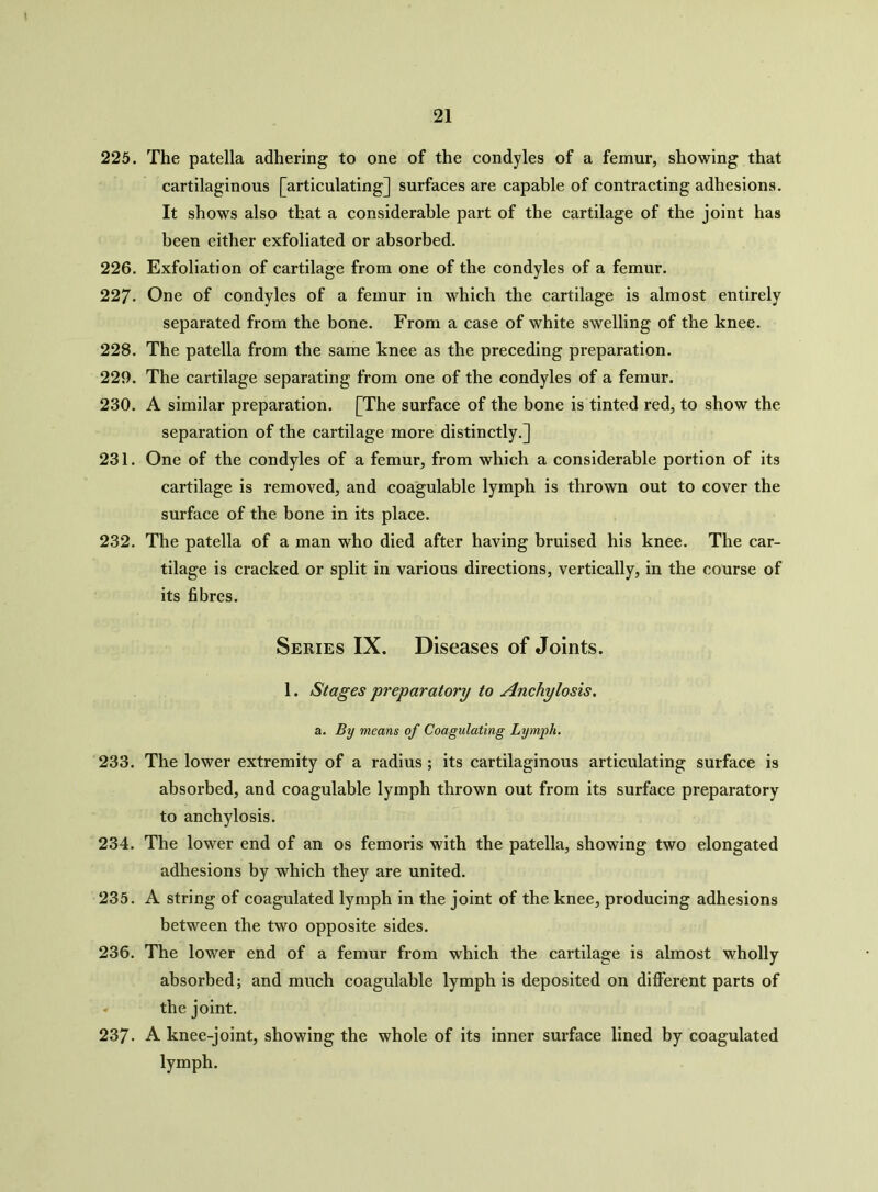 225. The patella adhering to one of the condyles of a femur, showing that cartilaginous [articulating] surfaces are capable of contracting adhesions. It shows also that a considerable part of the cartilage of the joint has been either exfoliated or absorbed. 226. Exfoliation of cartilage from one of the condyles of a femur. 227. One of condyles of a femur in which the cartilage is almost entirely separated from the bone. From a case of white swelling of the knee. 228. The patella from the same knee as the preceding preparation. 229. The cartilage separating from one of the condyles of a femur. 230. A similar preparation. [The surface of the bone is tinted red, to show the separation of the cartilage more distinctly.] 231. One of the condyles of a femur, from which a considerable portion of its cartilage is removed, and coagulable lymph is thrown out to cover the surface of the bone in its place. 232. The patella of a man who died after having bruised his knee. The car- tilage is cracked or split in various directions, vertically, in the course of its fibres. Series IX. Diseases of Joints. 1. Stages preparatory to Anchylosis. a. By means of Coagulating Lymph. 233. The lower extremity of a radius ; its cartilaginous articulating surface is absorbed, and coagulable lymph thrown out from its surface preparatory to anchylosis. 234. The lower end of an os femoris with the patella, showing two elongated adhesions by which they are united. 235. A string of coagulated lymph in the joint of the knee, producing adhesions between the two opposite sides. 236. The lower end of a femur from which the cartilage is almost wholly absorbed; and much coagulable lymph is deposited on different parts of « the joint. 237. A knee-joint, showing the whole of its inner surface lined by coagulated lymph.