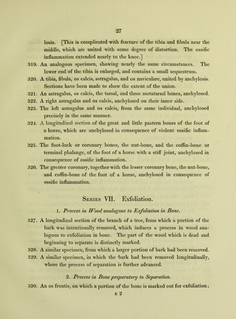 losis. [This is complicated with fracture of the tibia and fibula near the middle, which are united with some degree of distortion. The ossific inflammation extended nearly to the knee.] 319. An analogous specimen, showing nearly the same circumstances. The lower end of the tibia is enlarged, and contains a small sequestrum. 320. A tibia, fibula, os calcis, astragalus, and os naviculare, united by anchylosis. Sections have been made to show the extent of the union. 321. An astragalus, os calcis, the tarsal, and three metatarsal bones, ancliylosed. 322. A right astragalus and os calcis, anchylosed on their inner side. 323. The left astragalus and os calcis, from the same individual, anchylosed precisely in the same manner. 324. A longitudinal section of the great and little pastern bones of the foot of a horse, which are anchylosed in consequence of violent ossific inflam- mation. 325. The foot-lock or coronary bones, the nut-bone, and the coffin-bone or terminal phalange, of the foot of a horse with a stiff joint, anchylosed in consequence of ossific inflammation. 326. The greater coronary, together with the lesser coronary bone, the nut-bone, and coffin-bone Of the foot of a horse, anchylosed in consequence of ossific inflammation. Series VII. Exfoliation. 1. Process in Wood analogous to Exfoliation in Bone. 327. A longitudinal section of the branch of a tree, from which a portion of the bark was intentionally removed, which induces a process in wood ana- logous to exfoliation in bone. The part of the wood which is dead and beginning to separate is distinctly marked. 328. A similar specimen, from which a larger portion of bark had been removed. 329. A similar specimen, in which the -bark had been removed longitudinally, where the process of separation is further advanced. 2. Process in Bone preparatory to Separation. 330. An os frontis, on which a portion of the bone is marked out for exfoliation; e 2