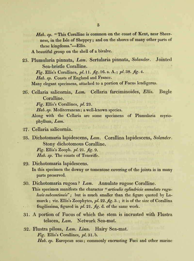 Hah. sp. “ This Coralline is common on the coast of Kent, near Sheer- ness, in the Isle of Sheppey; and on the shores of many other parts of these kingdoms.”*—Ellis. A beautiful group on the shell of a bivalve. 25. Plumularia pinnata, Lam. Sertularia pinnata, Solander. Jointed Sea-bristle Coralline. Fig. Ellis’s Corallines, pi. 11. ^g. 16. a. A.; pi. 38. ^g. 4. Hah. sp. Coasts of England and France. Many elegant specimens, attached to a portion of Fucus lendigerus. 26. Cellaria salicornia, Lam. Cellaria farciminoides, Ellis. Bugle Coralline. Fig. Ellis’s Corallines, pi. 23. Hah.sp. Mediterranean; a well-known species. Along with the Cellaria are some specimens of Plumularia myrio- phyllum, Lam. 27* Cellaria salicornia. 28. Dichotomaria lapidescens, Lam. Corallina lapidescens, Solander. Stony dichotomous Coralline. Fig. Ellis’s Zooph. pl.2\. fig. 9. Hah. sp. The coasts of Teneriffe. 29* Dichotomaria lapidescens. In this specimen the downy or tomentose covering of the joints is in many parts preserved. 30. Dichotomaria rugosa ? Lam. Annulate rugose Coralline. This specimen manifests the character “ articulis cylindricis annulato rugu- losis suhcontinuis I but is much smaller than the figure quoted by La- marck ; viz. Ellis’s Zoophytes, pi. 22. fig. 3.; it is of the size of Corallina ■ fragilissima, figured in pi. 21. fig. d. of the same work. 31. A portion of Fucus of which the stem is incrusted Avith Flustra telacea, Lam. Network Sea-mat. 32. Flustra pilosa, Lam. Linn. Hairy Sea-mat. Fig. Ellis’s Corallines, pi. 31. b. Hah. sp. European seas; commonly encrusting Fuci and other marine