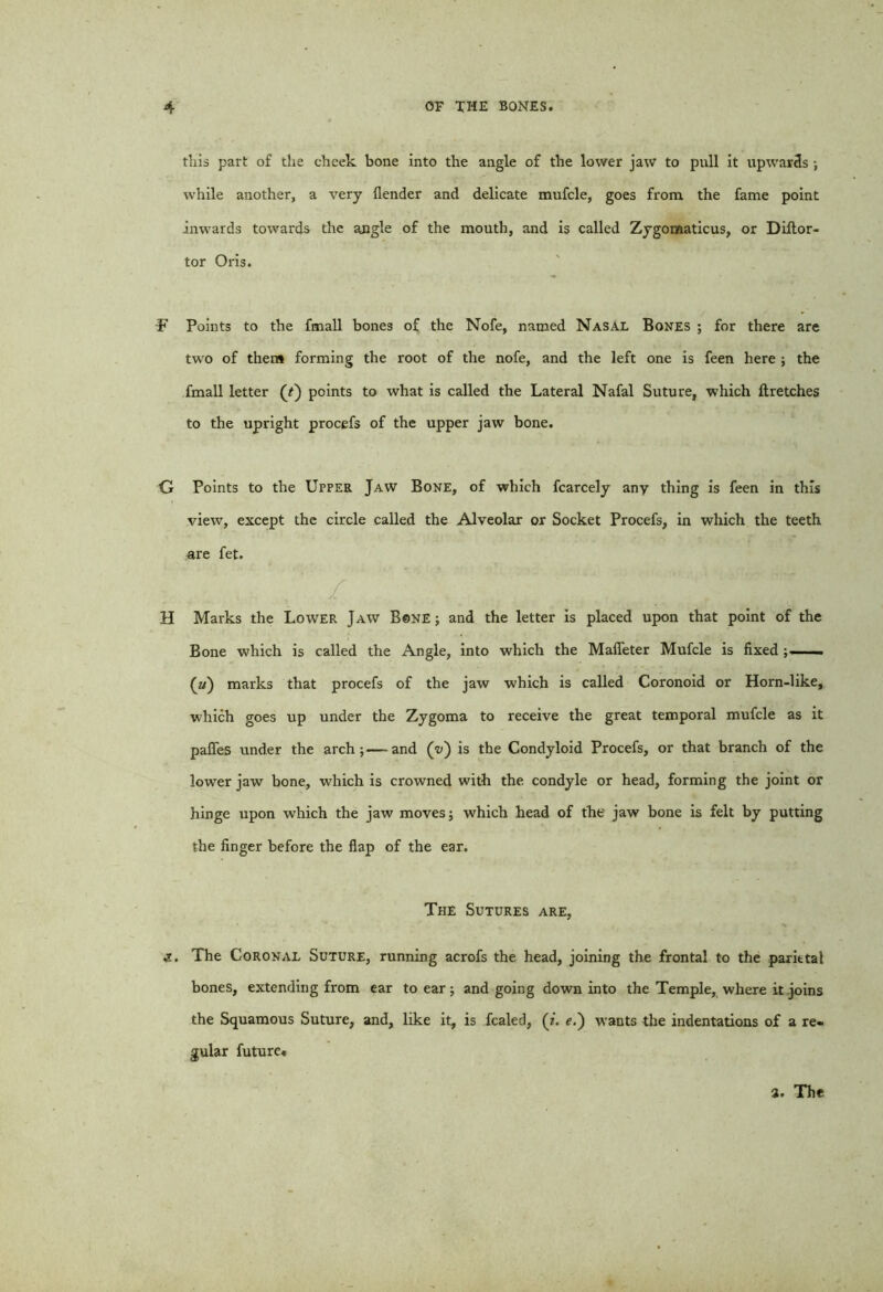 this part of the cheek bone into the angle of the lower jaw to pull it upwar3s •, while another, a very {lender and delicate mufcle, goes from the fame point inwards towards the angle of the mouth, and is called Zygomaticus, or Diftor- tor Oris. T Points to the fmall bones of the Nofe, named Nasal Bones ; for there are two of them forming the root of the nofe, and the left one is feen here ; the fmall letter (r) points to what is called the Lateral Nafal Suture, which ftretches to the upright procefs of the upper jaw bone. G Points to the Upper Jaw Bone, of which fcarcely any thing is feen in this view, except the circle called the Alveolar or Socket Procefs, in which the teeth are fet. H Marks the Lower Jaw Bone ; and the letter is placed upon that point of the Bone which is called the Angle, into which the Mafleter Mufcle is fixed — (#) marks that procefs of the jaw which is called Coronoid or Horn-like, which goes up under the Zygoma to receive the great temporal mufcle as it paffes under the arch;—and (v) is the Condyloid Procefs, or that branch of the lower jaw bone, which is crowned with the condyle or head, forming the joint or hinge upon which the jaw moves; which head of the jaw bone is felt by putting the finger before the flap of the ear. The Sutures are, *t. The Coronal Suture, running acrofs the head, joining the frontal to the parietal bones, extending from ear to ear; and going down into the Temple, where it joins the Squamous Suture, and, like it, is fcaled, (i. e.') wants the indentations of a re- gular future. a. The