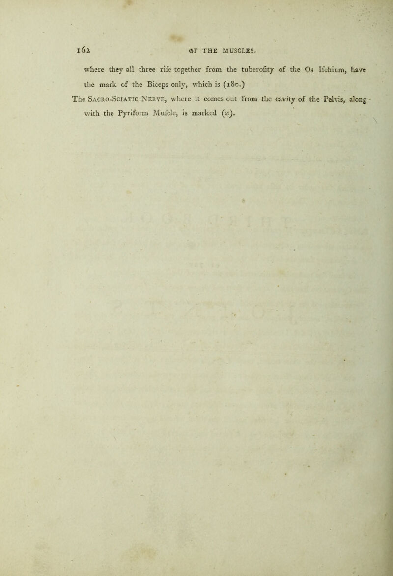 where they all three rife together from the tuberofity of the Os ifchium, have the mark of the Biceps only, which is (180.) The Sacro-Sciatic Nerve, where it comes out from the cavity of the Pelvis, along with the Pyriform Mufcle, is marked (z).