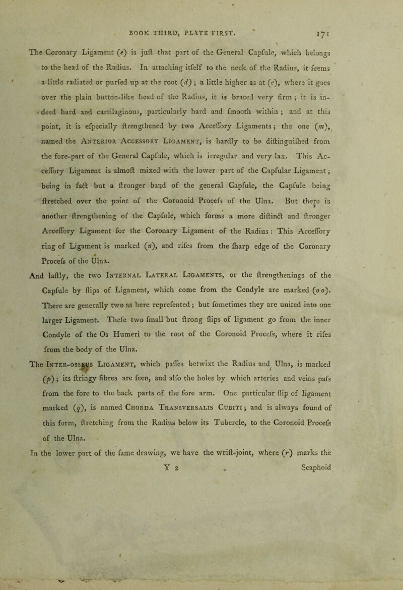 The Coronary Ligament (<r) is juft that part of the General Capfule, which belongs to the head of the Radius. In attaching itfelf to the neck of the Radius, it feems a little radiated or purfed up at the root (d) ; a little higher as at (<?), where it goes over the plain button-like head of the Radius, it is braced very firm ; it is in- • deed hard and cartilaginous, particularly hard and fmocth within ; and at this point, it is efpecially ftrengthened by two Acceflory Ligaments; the one (m)> named the Anterior Accessory Ligament, is hardly to be diftinguiihed from the fore-part of the General Capfale, which is irregular and very lax. This Ac- ceftory Ligament is almoft mixed with the lower part of the Capfular Ligament; being in fa£t but a ftronger band of the general Capfule, the Capfule being ftretched over the point of the Coronoid Procefs of the Ulna. But there is another ftrengthening of the Capfule, which forms a more diftintl and ftronger Acceflory Ligament for the Coronary Ligament of the Radius : This Acceflory ring of Ligament is marked («), and rifes from the ftiarp edge of the Coronary m Procefs of the Ulna. And laftly, the two Internal Lateral Ligaments, or the ftrengthenings of the Capfule by flips of Ligament, which come from the Condyle are marked (00). There are generally two as here reprefented ; but fometimes they are united into one larger Ligament. Thefe two fmall but ftrong flips of ligament go from the inner Condyle of the Os Humeri to the root of the Coronoid Procefs, where it rifes from the body of the Ulna. The Inter-osse^s Ligament, which pafles betwixt the Radius and Ulna, is marked (7>) ; its ftringy fibres are feen, and alfo the holes by which arteries and veins pafs from the fore to the back parts of the fore arm. One particular flip of ligament marked (2), is named Chorda Transversalis Cubiti ; and is always found of this form, ftretching from the Radius below its Tubercle, to the Coronoid Procefs of the Ulna. In the lower part of the fame drawing, we have the wrift-joint, where (r) marks the Y 2 , Scaphoid 1