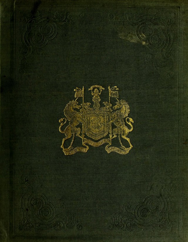 No text description is available for this image