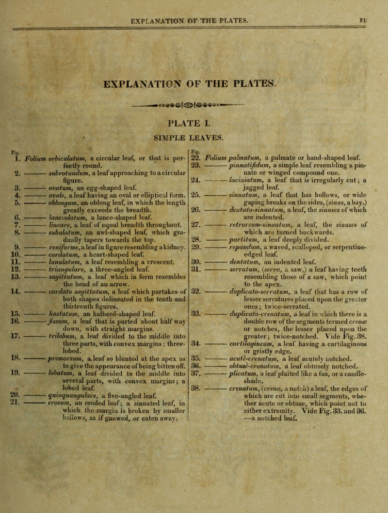 EXPLANATION OF THE PLATES. — PLATE I. SIMPLE LEAVES. r i£. 1. Folium orbiculatum, a circular leaf, or that is per- fectly round. 2. subrotundum, a leaf approaching to a circular figure. 3. ovatum, an egg-shaped leaf. 4. ovale, a leaf having an oval or elliptical form. 5. oblongum, an oblong leaf, in which the length greatly exceeds the breadth. 6. lanceolatum, a lance-shaped leaf. 7. lineare, a leaf of equal breadth throughout. 8. subulatum, an awl-shaped leaf, which gra- dually tapers towards the top. 9. reniforme, a leaf in figure resembling akidney. 10. cordatum, a heart-shaped leaf. 11. lunulatum, a leaf resembling a crescent. 12. triangulare, a three-angled leaf. 13. sagittatum, a leaf which in form resembles the head of an arrow. 14. — cordato sagittatum, a leaf which partakes of both shapes delineated in the tenth and thirteenth figures. 15. hastatum, an halberd-shaped leaf. 16. Jissum, a leaf that is parted about half way down, with straight margins. 17. trilobum, a leaf divided to the middle into three parts, with convex margins; three- lobed. 18. premorsum, a. leaf so blunted at the apex as to give the appearance of being bitten off. 19. lobatum, a leaf divided to the middle into several parts, with convex margins; a lobed leaf. 20. quinquangulare, a five-angled leaf. 21- erosum, an eroded leaf; a sinuated leaf, in which the margin is broken by smaller hollows, as if gnawed, or eaten away. Fig. 22. Folium palmatum, a palmate or hand-shaped leaf. 23. pinnatifidum, a simple leaf resembling a pin- nate or winged compound one. 24. laeiniatum, a leaf that is irregularly cut; a jagged leaf. 25. sinuatum, a leaf that has hollows, or wide gaping breaks on the sides, (sinus, a bay.) 26. dentato-sinuatum, a leaf, the sinuses of which are indented. 27. retrorsum-sinuatum, a leaf, the sinuses of which are turned backwards. 28. partitum, a leaf deeply divided. 29. repandum, a waved, scalloped, or serpentine- edged leaf. 30. dentalum, an indented leaf. 31. serratum, (serra, a saw,) a leaf having teeth resembling those of a saw, which point to the apex. 32. duplicato-serratum, a leaf that has a row of lesser serratures placed upon the greater ones; twice-serrated. 33. duplicato-crenatum, a leaf in which there is a double row of the segments termed crence or notches, the lesser placed upon the greater; twice-notched. Vide Fig.38. 34. cartilagineum, a leaf having a cartilaginous or gristly edge. 35. acute-crenaturn, a leaf acutely notched. 36. obtusc-crenatum, a leaf obtusely notched. 37. plicatum, a leaf plaited like a fan, or a candle- shade. 38. crenalum, (crena, a notch) a leaf, the edges of which are cut into small segments, whe- ther acute or obtuse, which point not to either extremity. Vide Fig. 33. and 36. —a notched leaf.