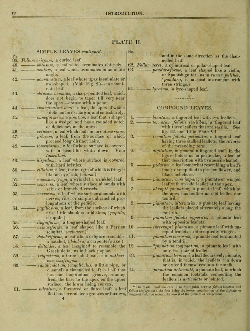 PLATE II. SIMPLE LEAVES continued. Fig. 39. Folium crispum, a culled leaf. 40. obtusum, a leaf which terminates obtusely. 41. acutum, a leaf which terminates in an acute angle. 42. acuminatum, a leaf whose apex is subulate or awl-shaped. (Vide Fig. 8.)—an acumi- nate leaf. 43. obtusum acumine, a sharp-pointed leaf, which does not begin to taper till very near the apex—obtuse with a point. 44. emarginatum acute, a leaf, the apex of which is deficient in its margin, and ends sharply. 45. cuneiforme em.arginq.tum, a leaf that is shaped like a wedge, and has a rounded notch or deficiency at the apex. 46. retusum, a leaf which ends in an obtuse sinus. 47. pilosum, a leaf, from the surface of which proceed long distinct hairs. 48. tomentosum, a leaf whose surface is covered with a beautiful white down. Vide tomentum. 49. hispidum, a leaf whose surface is covered with hard bristles. 50. ciliatum, a leaf, the margin of which is fringed like an eye-lash, (ciliiim.) 51. rugosum, (ruga, a wrinkle) a wrinkled leaf. 52. venosum, a leaf whose surface abounds with veins or branched vessels. 53. nervosum, a leaf whose surface abounds with nerves, ribs, or simple unbranched pro- longations of the pedicle. 54. papillosum, a leaf, from the surface of which arise little bladders or blisters, (papilla, a nipple.) 55. linguiforme, a tongue-shaped leaf. 56. acinaciforme, a leaf shaped like a Persian scimitar, (acinaces.) 57. doldbriforme, a leaf which in figure resembles a hatchet, (dolabra, a carpenter’s axe.) 58. cleltoides, a leaf imagined to resemble the Greek delta, as in black poplar. 59. triquetrum, a three-sided leaf, as in antheri- cum ossifragum. 60. canaliculatum, (canaliculus, a little pipe, or channel) a channelled leaf; a leaf that has one longitudinal groove, running from the base to the apex on the upper surface, the lower being convex. 61. sulcatum, a furrowed or fluted leaf; a leaf that has several deep grooves or furrows, 4 Fig. and in the same direction as the chan- nelled leaf. 62. Folium teres, a cylindrical or pillar-shaped leaf. 63. pandurceforme, a leaf shaped like a violin, or Spanish guitar, as in rumex pulcher, (pandura, a musical instrument with three strings.) 64. lyratum, a lyre-shaped leaf. COMPOUND LEAVES. 1. binatum, a fingered leaf with two leaflets. 2. ternatum foliolis sessilibus, a fingered leaf w ith three leaflets that are sessile. See fig. 12. and 14 in Plate VI. 3. ternatum foliolis petiolalis, a fingered leaf having three stalked leaflets; the reverse of the preceding term. 4. — digitatum, in general a fingered leaf; in the figure before us in particular, a leaf of that description with five sessile leaflets. 5. pedatum, a leaf somewhat resembling a bird’s foot; exemplified in passion flower, and black hellebore. 6. pinnatum, cum impart, a pinnate or winged leaf with an odd leaflet at the apex. 7. abrtipte pinnatum, a pinnate leaf, which at the apex has neither an odd leaflet nor tendril. 8. pinnatum, alternatim, a pinnate leaf having the leaflets placed alternately along the mid-rib. 9. pinnatum foliolis oppositis, a pinnate leaf with opposite leaflets. 10. interrupie pinnatum, a pinnate leaf with un- equal leaflets—interruptedly winged. 11. pinnatum cirrosum, a pinnate leaf terminated by a tendril. 12. *pinnatum conjugatum, a pinnate leaf with only two pair of leaflets. 13. pinnatum decursive, a leaf decursively pinnate, that is, in which the leaflets run down or extend themselves into the stalk. 14. pinnatum articulate, a pinnate leaf, in which the common footstalk connecting the leaflets is articulate or jointed. * The reader must be careful to distinguish betwixt folium binatum and folium conjugatum; the first being the lowest modification of the digitate or fingered leaf, the second the lowest of the pinnate or winged one.