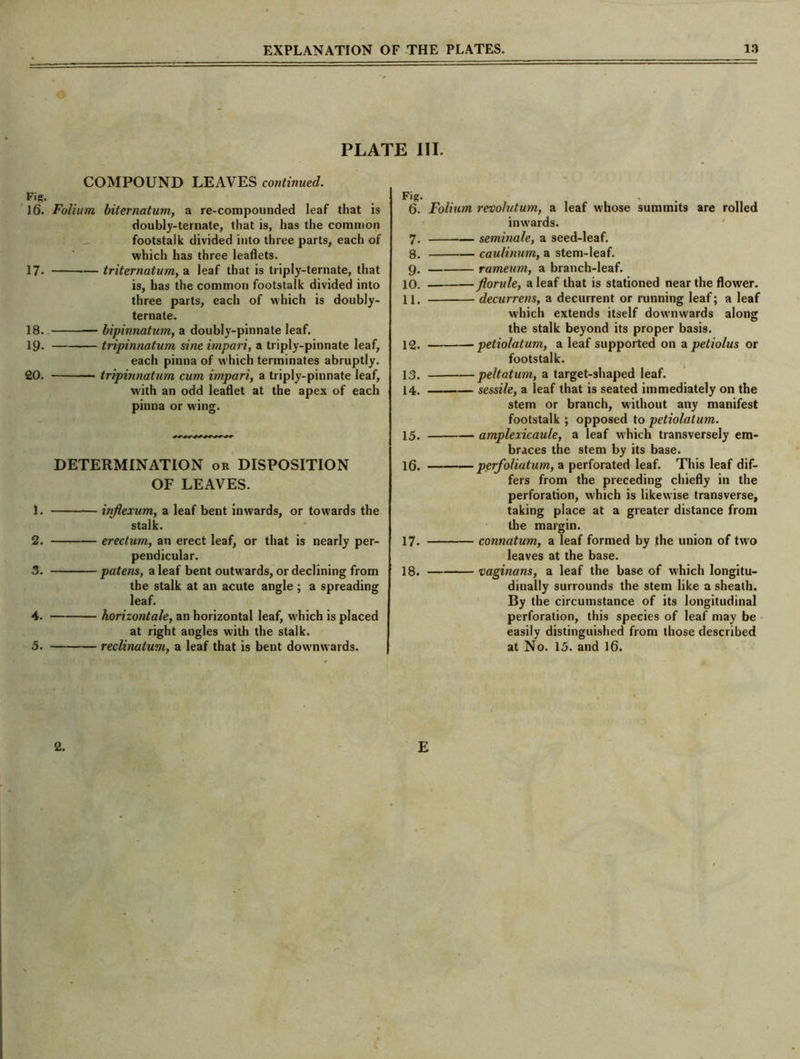 PLATE III. COMPOUND LEAVES continued. Fig;. 16. Folium biternatum, a re-compounded leaf that is doubly-ternate, that is, has the common footstalk divided into three parts, each of which has three leaflets. 17- — triternatum, a leaf that is triply-ternate, that is, has the common footstalk divided into three parts, each of which is doubly- ternate. 18. bipinnatum, a doubly-pinnate leaf. 19. tripinnatum sine impari, a triply-pinnate leaf, each pinna of which terminates abruptly. 20. tripinnatum cum impari, a triply-pinnate leaf, with an odd leaflet at the apex of each pinna or wing. DETERMINATION or DISPOSITION OF LEAVES. 1. injlexum, a leaf bent inwards, or towards the stalk. 2. erectum, an erect leaf, or that is nearly per- pendicular. 3. patens, a leaf bent outwards, or declining from the stalk at an acute angle ; a spreading leaf. 4. horizontale, an horizontal leaf, which is placed at right angles with the stalk. 5. reclinatum, a leaf that is bent downwards. * n* ' 6. Folium revolutum, a leaf whose summits are rolled inwards. 7. seminale, a seed-leaf. 8. caulinum, a stem-leaf. 9. rameum, a branch-leaf. 10. florule, a leaf that is stationed near the flower. 11. decurrens, a decurrent or running leaf; a leaf which extends itself downwards along the stalk beyond its proper basis. 12. petiolatum, a leaf supported on a peliolus or footstalk. 13. peltatum, a target-shaped leaf. 14. sessile, a leaf that is seated immediately on the stem or branch, without any manifest footstalk; opposed to petiolatum. 15. amplexicaule, a leaf which transversely em- braces the stem by its base. 16. perfoliatum, a perforated leaf. This leaf dif- fers from the preceding chiefly in the perforation, which is likewise transverse, taking place at a greater distance from the margin. 17. connatum, a leaf formed by the union of two leaves at the base. 18. vaginans, a leaf the base of which longitu- dinally surrounds the stem like a sheath. By the circumstance of its longitudinal perforation, this species of leaf may be easily distinguished from those described at No. 15. and 16. 2. E