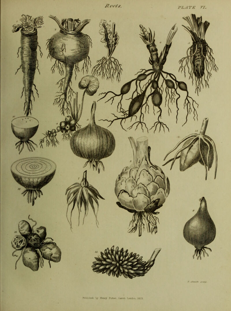Rc<?/.e. TLA. TE TI. T. o'//i it ft srut/>. PabLoLed ~oy Henry Fiib.er, Catron London, 1823.