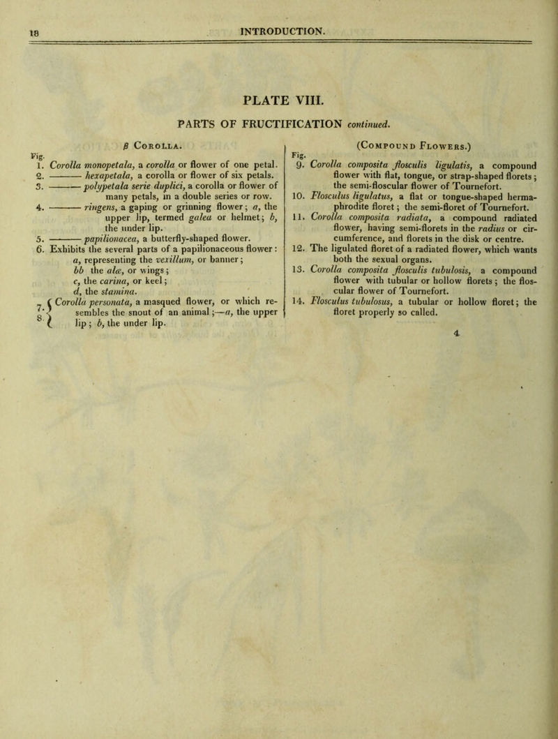 ©i so <o PLATE VIII. PARTS OF FRUCTIFICATION continued. P Corolla. Fig. 1. Corolla monopetala, a corolla or flower of one petal. . hexapetala, a corolla or flower of six petals. . polypetala serie duplici, a corolla or flower of many petals, in a double series or row. . ringens, a gaping or grinning flower; a, the upper lip, termed galea or helmet; b, the under lip. . papilionacea, a butterfly-shaped flower. . Exhibits the several parts of a papilionaceous flower : a, representing the vexillum, or banner; bb the alee, or wings ; c, the carina, or keel; d, the stamina. Corolla personata, a masqued flower, or which re- sembles the snout of an animal;—a, the upper lip ; b, the under lip. (Compound Flowers.) Fig. 9. Corolla composita Jlosculis ligulatis, a compound flower with flat, tongue, or strap-shaped florets; the semi-floscular flower of Tournefort. 10. Flosculus ligulatus, a flat or tongue-shaped herma- phrodite floret; the semi-floret of Tournefort. 11. Corolla composita radiata, a compound radiated flower, having semi-florets in the radius or cir- cumference, and florets in the disk or centre. 12. The ligulated floret of a radiated flower, which wants both the sexual organs. 13. Corolla composita Jlosculis tubulosis, a compound flower with tubular or hollow florets ; the flos- cular flower of Tournefort. 14. Flosculus tubulosus, a tubular or hollow floret; the floret properly so called. 4