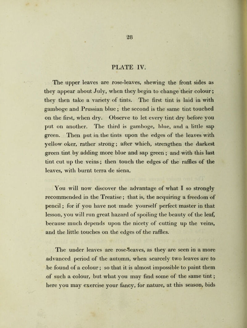 PLATE IV. The upper leaves are rose-leaves, shewing the front sides as they appear about July, when they begin to change their colour; they then take a variety of tints. The first tint is laid in with gamboge and Prussian blue; the second is the same tint touched on the first, when dry. Observe to let every tint dry before you put on another. The third is gamboge, blue, and a little sap green. Then put in the tints upon the edges of the leaves with yellow oker, rather strong; after which, strengthen the darkest green tint by adding more blue and sap green ; and with this last tint cut up the veins; then touch the edges of the raffles of the leaves, with burnt terra de siena. You will now discover the advantage of what I so strongly recommended in the Treatise; that is, the acquiring a freedom of pencil; for if you have not made yourself perfect master in that lesson, you will run great hazard of spoiling the beauty of the leaf, because much depends upon the nicety of cutting up the veins, and the little touches on the edges of the raffles. The under leaves are rose-leaves, as they are seen in a more advanced period of the autumn, when scarcely two leaves are to be found of a colour; so that it is almost impossible to paint them of such a colour, but what you may find some of the same tint; here you may exercise your fancy, for nature, at this season, bids