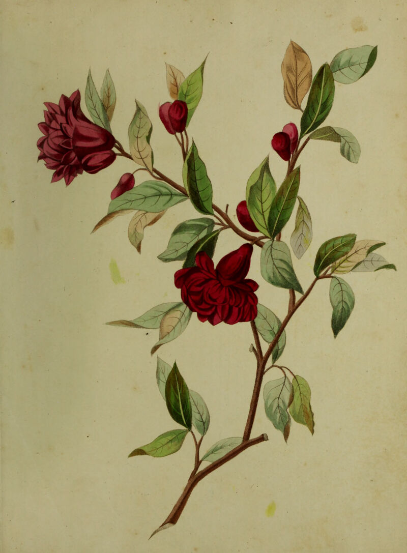 \ m / J kjs 1 \ • \ m \ f A\i |. \ i % jf m KV -> •: Sif l If jf §