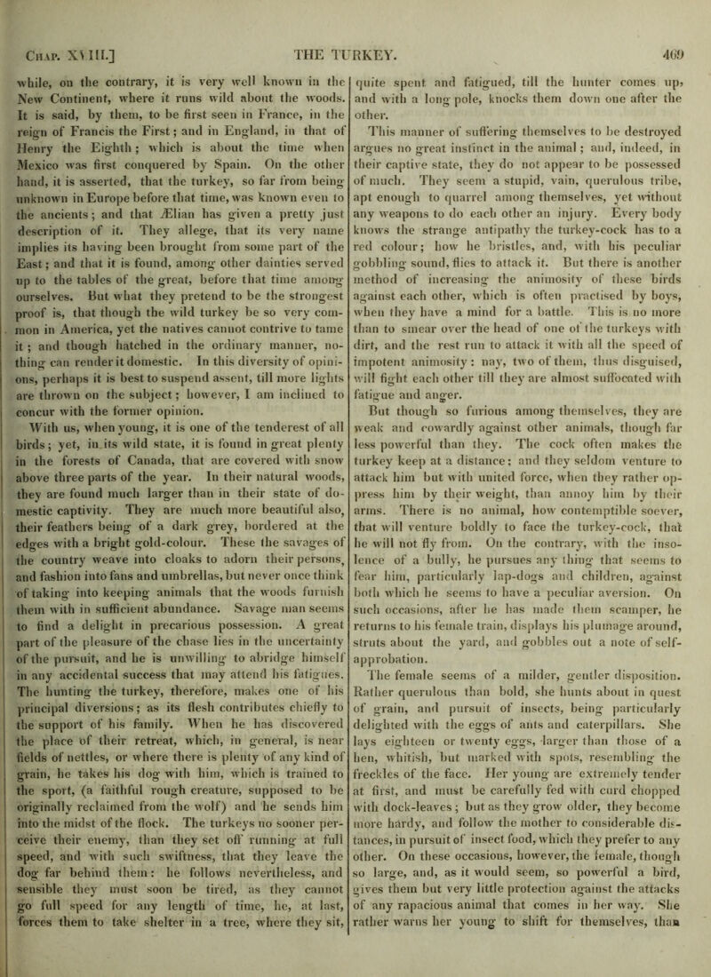 while, on the contrary, it is very well known in the New Continent, where it runs wild about the woods. It is said, by them, to be first seen in France, in the reign of Francis the First; and in England, in that of Henry the Eighth ; which is about the time when Mexico was first conquered by Spain. On the other hand, it is asserted, that the turkey, so far from being unknown in Europe before that time, was known even to the ancients; and that YElian has given a pretty just description of it. They allege, that its very name implies its having been brought from some part of the East; and that it is found, among other dainties served up to the tables of the great, before that time among ourselves. Rut what they pretend to be the strongest proof is, that though the wild turkey be so very com- . mon in America, yet the natives cannot contrive to tame it ; and though hatched in the ordinary manner, no- thing can render it domestic. In this diversity of opini- ons, perhaps it is best to suspend assent, till more lights are thrown on the subject; however, I am inclined to concur with the former opinion. With us, when young, it is one of the tenderest of all birds; yet, in its wild state, it is found in great plenty in the forests of Canada, that are covered with snow above three parts of the year. In their natural woods, they are found much larger than in their state of do- mestic captivity. They are much more beautiful also, their feathers being of a dark grey, bordered at the edges with a bright gold-colour. These the savages of the country weave into cloaks to adorn their persons, and fashion into fans and umbrellas, but never once think 1 of taking into keeping animals that the woods furnish them with in sufficient abundance. Savage man seems to find a delight in precarious possession. A great part of the pleasure of the chase lies in the uncertainty of the pursuit, and he is unwilling to abridge himself in any accidental success that may attend his fatigues. The hunting the turkey, therefore, makes one of his principal diversions; as its flesh contributes chiefly to the support of his family. When he has discovered the place of their retreat, which, in general, is near fields of nettles, or where there is plenty of any kind of grain, he takes his dog with him, which is trained to the sport, (a faithful rough creature, supposed to be originally reclaimed from the wolf) and he sends him into the midst of the flock. The turkeys no sooner per- ceive their enemy, than they set off running at full speed, and with such swiftness, that they leave the dog far behind them: he follows nevertheless, and sensible they must soon be fired, as they cannot go full speed for any length of time, he, at last, forces them to take shelter in a tree, where they sit, quite spent and fatigued, till the hunter comes up> and with a long pole, knocks them down one after the other. This manner of suffering themselves to be destroyed argues no great instinct in the animal ; and, indeed, in their captive state, they do not appear to be possessed of much. They seem a stupid, vain, querulous tribe, apt enough to quarrel among themselves, yet without any weapons to do each other an injury. Every body knows the strange antipathy the turkey-cock has to a red colour; how he bristles, and, with his peculiar gobbling sound, flies to attack it. But there is another method of increasing the animosity of these birds against each other, w hich is often practised by boys, when they have a mind for a battle. This is no more than to smear over the head of one of the turkeys with dirt, and the rest run to attack it with all the speed of impotent animosity: nay, two of them, thus disguised, will fight each other till they are almost suffocated with fatigue and anger. But though so furious among themselves, they are weak and cowardly against other animals, though far less powerful than they. The cock often makes the turkey keep at a distance; and they seldom venture to attack him but with united force, when they rather op- press him by their weight, than annoy him by their arms. There is no animal, how contemptible soever, that w ill venture boldly to face the turkey-cock, that he will not fly from. On the contrary, with the inso- lence of a bully, he pursues any thing that seems to fear him, particularly lap-dogs and children, against both which he seems to have a peculiar aversion. On such occasions, after he has made them scamper, he returns to his female train, displays his plumage around, struts about the yard, and gobbles out a note of self- approbation. The female seems of a milder, gentler disposition. Rather querulous than bold, she hunts about in quest of grain, and pursuit of insects, being’ particularly del ighted with the eggs of ants and caterpillars. She lays eighteen or twenty eggs, larger than those of a hen, whitish, but marked with spots, resembling the freckles of the face. Her young are extremely tender at first, and must be carefully fed with curd chopped with dock-leaves ; but as they grow older, they become more hardy, and follow the mother to considerable dis- tances, in pursuit of insect food, which they prefer to any other. On these occasions, however, the female, though so large, and, as it would seem, so powerful a bird, gives them but very little protection against the attacks of any rapacious animal that comes in her way. She rather warns her young to shift for themselves, than