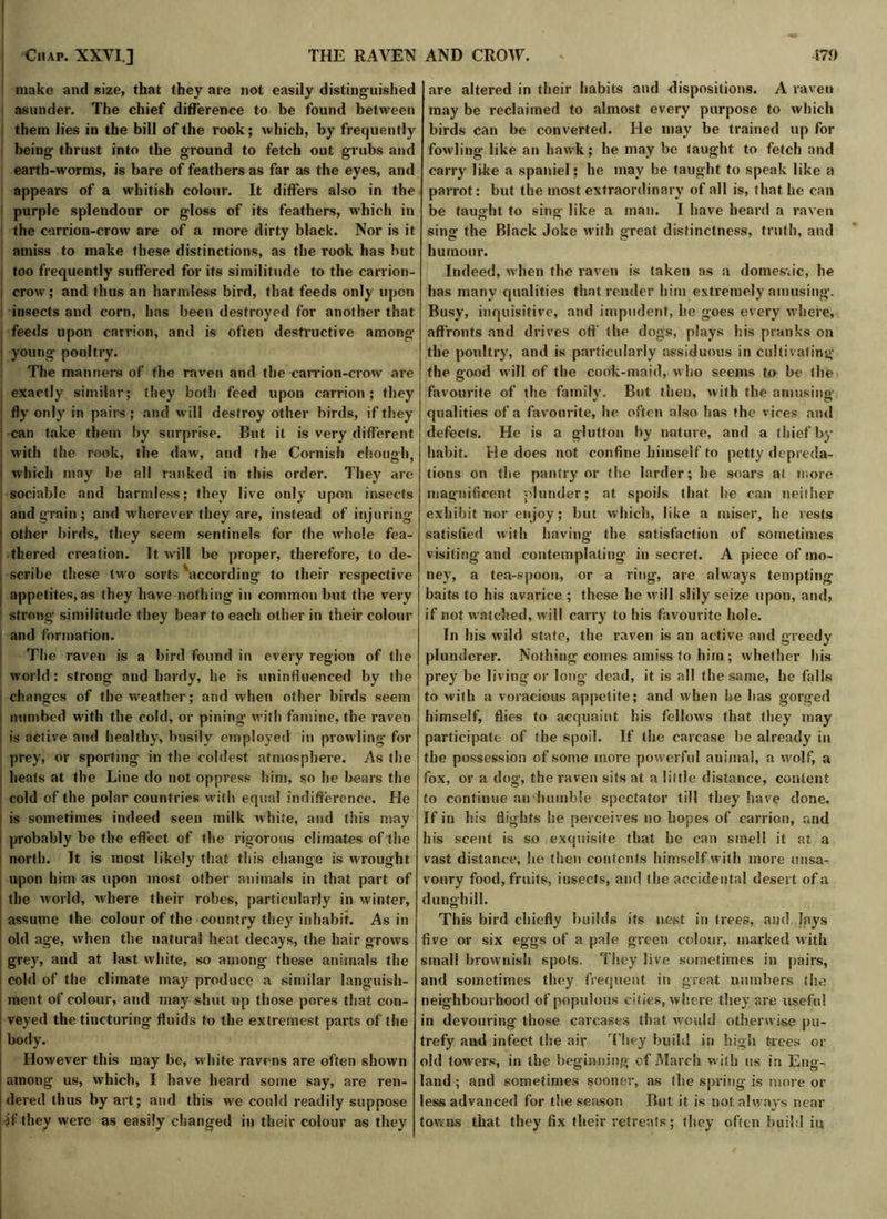 make and size, that they are not easily distinguished asunder. The chief difference to be found between them lies in the bill of the rook; which, by frequently being thrust into the ground to fetch out grubs and earth-worms, is bare of feathers as far as the eyes, and appears of a whitish colour. It differs also in the purple splendour or gloss of its feathers, which in the carrion-crow are of a more dirty black. Nor is it amiss to make these distinctions, as the rook has but too frequently suffered for its similitude to the carrion- crow; and thus an harmless bird, that feeds only upon insects and corn, has been destroyed for another that feeds upon carrion, and is often destructive among young poultry. The manners of the raven and the carrion-crow are exactly similar; they both feed upon carrion; they fly only in pairs; and will destroy other birds, if they can take them by surprise. But it is very different with tiie rook, the daw, and the Cornish chough, which may be all ranked in this order. They are sociable and harmless; they live only upon insects i and grain ; and wherever they are, instead of injuring other birds, they seem sentinels for the whole fea- thered creation. It will be proper, therefore, to de- scribe these two sorts according to their respective appetites, as they have nothing in common but the very strong similitude they bear to each other in their colour and formation. The raven is a bird found in every region of the world: strong and hardy, he is uninfluenced by the changes of the weather; and when other birds seem i numbed with the cold, or pining with famine, the raven is active and healthy, busily employed in prowling for prey, or sporting in the coldest atmosphere. As the heals at the Line do not oppress him, so he bears the cold of the polar countries with equal indifference. He is sometimes indeed seen milk white, and this may probably be the effect of the rigorous climates of the north. It is most likely that this change is wrought upon him as upon most other animals in that part of the world, xvhere their robes, particularly in winter, i assume the colour of the country they inhabit. As in old age, when the natural heat decays, the hair grows grey, and at last white, so among these animals the ; cold of the climate may produce a similar languish- ment of colour, and may shut up those pores that con- i veyed the tiucturing fluids to the extremest parts of the body. However this may be, white ravens are often shown I among us, which, I have heard some say, are ren- dered thus by art; and this we could readily suppose if they were as easily changed in their colour as they are altered in their habits and dispositions. A raven may be reclaimed to almost every purpose to which birds can be converted. He may be trained up for fowling like an hawk; he may be taught to fetch and carry like a spaniel; he may be taught to speak like a parrot: but the most extraordinary of all is, that he can be taught to sing- like a man. I have heard a raven sing the Black Joke with great distinctness, truth, and humour. Indeed, when the raven is taken as a domestic, he has many qualities that render him extremely amusing. Busy, inquisitive, and impudent, he goes every where, affronts and drives off the dogs, plays his pranks on the poultry, and is particularly assiduous in cultivating the good will of the cook-maid, who seems to be the favourite of the family. But then, with the amusing qualities of a favourite, he often also has the vices and defects. He is a glutton by nature, and a thief by habit. He does not confine himself to petty depreda- tions on the pantry or the larder; he soars at more magnificent plunder; at spoils that he can neither exhibit nor enjoy; but which, like a miser, he rests satisfied with having- the satisfaction of sometimes visiting and contemplating in secret. A piece of mo- ney, a tea-spoon, or a ring, are always tempting baits to his avarice ; these he n il! slily seize upon, and, if not watched, will carry to his favourite hole. In his wild state, the raven is an active and greedy plunderer. Nothing comes amiss to him ; whether his prey be living or long dead, it is all the same, he falls to with a voracious appetite; and when he has gorged himself, flies to acquaint his fellows that they may participate of the spoil. If the carcase be already in the possession of some move powerful animal, a wolf, a fox, or a dog, the raven sits at a little distance, content to continue an humble spectator till they have done. If in his flights he perceives no hopes of carrion, and his scent is so exquisite that he can smell it at a vast distance, he then contents himself with more unsa- voury food, fruits, insects, and the accidental desert of a dunghill. This bird chiefly builds its nest in trees, and lays five or six eggs of a pale green colour, marked with small brownish spots. They live sometimes in pairs, and sometimes they frequent in great numbers the neighbourhood of populous cities, where they are useful in devouring those carcases that would otherwise pu- trefy and infect the air They build in high trees or old towers, in the beginning of March with us in Eng- land ; and sometimes sooner, as the spring is more or less advanced for the season But it is not; always near towns that they fix their retreats; they often build iu
