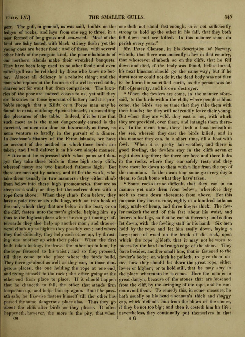 port. The gull, in general, as was said, builds on the ledges of rocks, and lays from one egg to three, in a nest formed of long grass and sea-weed. Most of the kind are fishy tasted, with black stringy flesh; yet the young ones are better food : and of these, with several other birds of the penguin kind, the poor inhabitants of our northern islands make their wretched banquets. They have been long used to no other food; and even salted gull can be relished by those who know no bet- ter. Almost all delicacy is a relative thing; and the man who repines at the luxuries of a well-served table, starves not for want but from comparison. The luxu- ries of the poor are indeed coarse to us, yet still they are luxuries to those ignorant of better; and it is pro- bable enough that a Kilda or a Foroe man may be found to exist, outdoing Apicius himself, in consulting the pleasures of the table. Indeed, if it be true that such meat as is the most dangerously earned is the sweetest, no men can dine so luxuriously as these, as none venture so hardly in the pursuit of a dinner, lu Jacobson’s History of the Feroe Islands, we have an account of the method in which those birds are taken; and I will deliver it in his own simple manner. “ It cannot be expressed with what pains and dan- ger they take these birds in those high steep cliffs, whereof many are two hundred fathoms high. But there are men apt by nature, and fit for the work, who take them usually in two manners: they either climb from below into these high promontories, that are as steep as a wall; or they let themselves down with a rope from above. When they climb from below, they have a pole five or six ells long, with an iron hook at the end, which they that are below in the boat, or on the cliff', fasten unto the man’s girdle, helping him up thus to the highest place where he can get footing: af- terwards they also help up another man ; and thus se- veral climb up as high as they possibly can ; and where they find difficulty, they help each other up, by thrust- ing one another up with their poles. When the first hath taken footing, he draws the other up to him, by the rope fastened to his waist; and so they proceed, till they come to the place where the birds build. They there go about as well as they can, in those dan- gerous places; the one holding the rope at one end, and fixing himself to the rock; the other going at the other end from place to place. If it should happen that he chanceth to fall, the other that stands firm keeps him up, and helps him up again. But if he pass- eth safe, he likewise fastens himself till the other has passed the same dangerous place also. Thus they go about the cliff’s after birds as they please. It often ' happeneth, however, the more is the pity, that when one doth not stand fast enough, or is not sufficiently strong to hold up the other in his fall, that they both fall down and are killed. In this manner some do perish every year.” Mr. Peter Clanson, in his description of Norway, writeth, that there was anciently a law in that country, that whosoever climbeth so on the cliffs, that he fell down and died, if the body was found, before burial, his next kinsman should go the same way; but if he durst not or could not do it, the dead body was not then to be buried in sanctified earth, as the person was too full of temerity, and his own destroyer. “ When the fowlers are come, in the manner afore- said, to the birds within the cliffs, where people seldom come, the birds are so tame that they take them with their hands; for they will not readily leave their young. But when they are wild, they cast a net, with which they are provided, over them, and intangle them there- in. In the mean time, there lieth a boat beneath in the sea, wherein they cast the birds killed; and in this manner they can, in a short time, fill a boat with fowl. When it is pretty fair weather, and there is good fowling, the fowlers stay in the cliffs seven or eight days together; for there are here and there holes in the rocks, where they can safely rest; and they have meat let down to them with a line from the top of the mountain. In the mean time some go every day to them, to fetch home what they have’ taken. “ Some rocks are so difficult, that they can in no manner get unto them from below; wherefore they seek to come down thereunto from above. For this purpose they have a rope, eighty or a hundred fathoms long, made of hemp, and three fingers thick. The fow- ler maketh the end of this fast about his waist, and between his legs, so that he can sit thereon ; and is thus let down, with the fowling-staff in his hand. Six men hold by the rope, and let him easily down, laying a large piece of wood on the brink of the rock, upon which the rope glideth, that it may not be worn to pieces by the hard and rough edge of the stone. They have besides, another small line, that is fastened to the fowler’s body; on which he pulleth, to give them no- tice how they should let down the great rope, either lower or higher; or to hold still, that he may stay in the place Avliereunto he is come. Here the man is in great danger, because of the stones that are loosened from the cliff, by the swinging of the rope, and he can- not avoid them. To remedy this, in some measure, he hath usually on his head a seaman’s thick and shaggy cap, whick defends him from the blows of the stones, if they be not too big ; and then it costeth him his life : nevertheless, they continually put themselves in that
