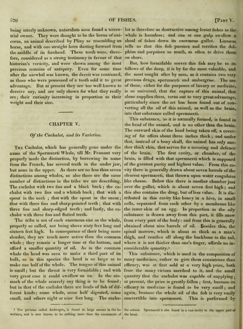 being utterly unknown, naturalists soon found a terres- trial owner. They were thought to be the horns of uni- corns, an animal described by Pliny as resembling an horse, and with one straight horn darting forward from the middle of its forehead. These teeth were, there- fore, considered as a strong testimony in favour of that historian’s veracity, and were shown among the most precious remains of antiquity. Even for some time after the narwhal was known, the deceit was continued, as those who were possessed of a tooth sold it to great advantage. But at present they are too well known to deceive any, and are only shown for what they really are; their curiosity increasing in proportion to their weight and their size. CHAPTER V. Of the Cachalot, audits Varieties. The Cachalot, which has generally gene under the name of the Spermaceti Whale, till Mr. Pennant very properly made the distinction, by borrowing its name from the French, has several teeth in the under jaw, but none in the upper. As there are no less than seven distinctions among whales, so also there are the same number of distinctions in the tribe we are describing. The cachalot with two fins and a black back ; the ca- chalot with two fins and a whitish back ; that with a spout in the neck ; that with the spout in the snout; that with three fins and sharp-pointed teeth ; that with three fins and sharp-edged teeth ; and lastly, the ca- chalot with three fins and flatted teeth. The tribe is not of such enormous size as the whale, properly so called, not being above sixty feet long and sixteen feet high. In consequence of their being more slender, they are much more active than the common whale ; they remain a longer time at the bottom, and afford a smaller quantity of oil. As in the common whale the head was seen to make a third part of its J bulk, so in this species the head is so large as to make one half of the whole. The tongue of this animal is small; but the throat is very formidable; and with very great ease it could swallow an ox. In the sto- J mach of the whale scarcely any thing is to be found; but in that of the cachalot there are loads of fish of dif- ferent kinds; some whole, some half digested, some small, and others eight or nine feet long. The cacha- 1 The perfume called Ambergris, is found in large masses in the in- testines, and is now known to be nothing more than the excrements of i lot is therefore as destructive among lesser fishes as the whale is harmless; and can at one gulp swallow a shoal of fishes down its enormous gullet. Linnaeus tells us that this fish pursues and terrifies the dol- phins and porpoises so much, as often to drive them on shore. But, how formidable soever this fish may be to its fellows of the deep, it is by far the most valuable, and the most sought after by man, as it contains two very precious drugs, spermaceti and atnbergrise. The use of these, either for the purposes of luxury or medicine, is so universal, that the capture of this animal, that alone supplies them, turns out to very great advantage, particularly since the art has been found out of con- verting all the oil of this animal, as well as the brain, into that substance called spermaceti. This substance, as it is naturally formed, is found in the head of the animal, and is no other than the brain. The outward skin of the head being taken off, a cover- ing of fat offers about three inches thick ; and under that, instead of a bony skull, the animal has only ano- ther thick skin, that serves for a covering and defence of the brain. The first cavity, or chamber, of the brain, is filled with that spermaceti which is supposed of the greatest purity and highest value. From this ca- vity there is generally drawn about seven barrels of the clearest spermaceti, that thrown upon water coagulates like cheese. Below this there is another chamber just over the gullet, which is about seven feet high ; and this also contains the drug, but of less value. It is dis- tributed in this cavity like honey in a hive, in small cells, separated from each other by a membrane like the inner skin of an egg. In proportion as the oily substance is drawn away from this part, it fills anew from every part of the body: and from this is generally obtained about nine barrels of oil. Besides this, the spinal marrow, which is about as thick as a man’s thigh, and reaches all along the backbone to the tail, where it is not thicker than one’s finger, affords no in- considerable quantity.1 This substance, which is used in the composition of many medicines, rather to give them consistence than efficacy, was at first sold at a very high price, both from the many virtues ascribed to it, and the small quantity that I lie cachalot was capable of supplying, at present, the price is greatly fallen ; first, because its efficacy in medicine is found to be very small ; and again, because the whole oil of the fish is very easily convertible into spermaceti. This is performed by + ws* the animal. Spermaceti is also found in a vast cavity in the upper part of the head.