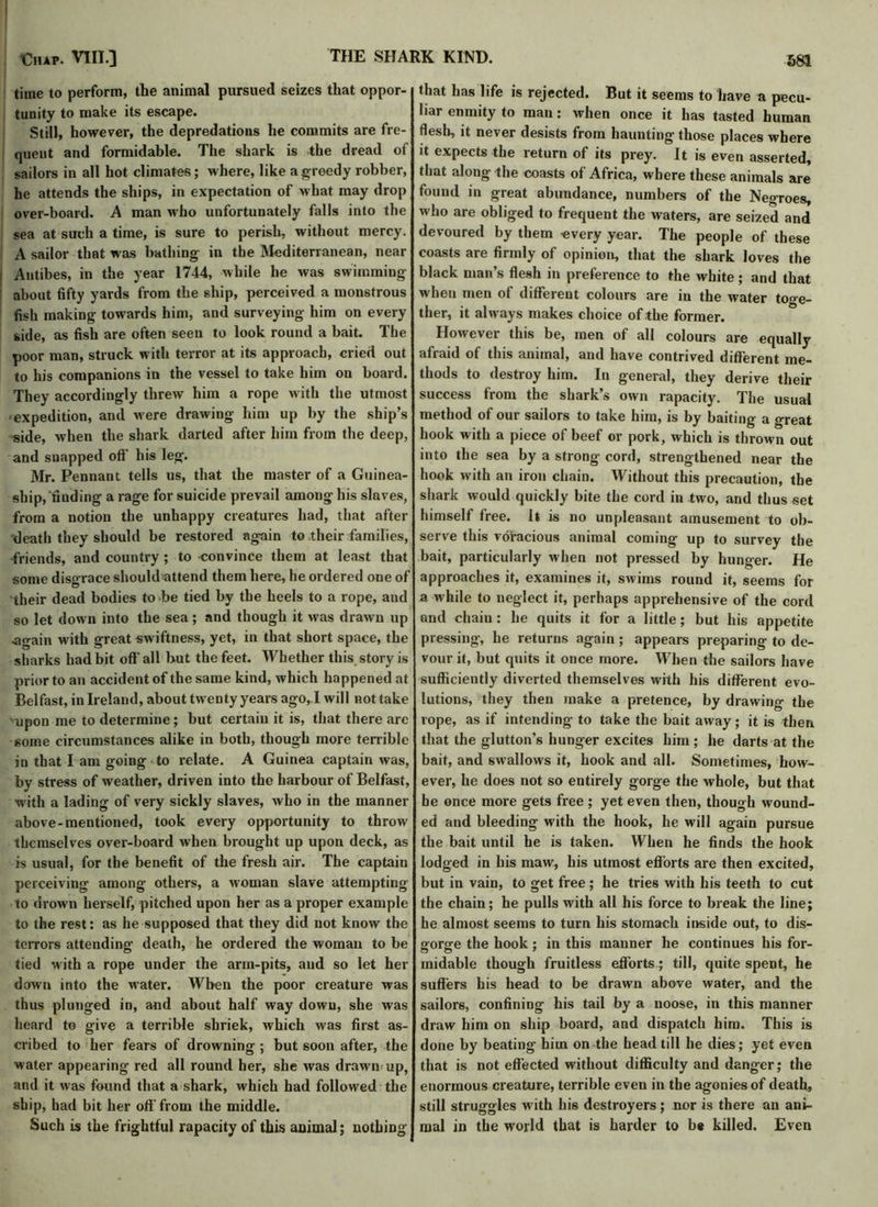 time to perform, the animal pursued seizes that oppor- tunity to make its escape. Still, however, the depredations he commits are fre- quent and formidable. The shark is the dread of sailors in all hot climates; where, like a greedy robber, he attends the ships, in expectation of what may drop over-board. A man who unfortunately falls into the sea at such a time, is sure to perish, without mercy. A sailor that was bathing in the Mediterranean, near Antibes, in the year 1744, while he was swimming about fifty yards from the ship, perceived a monstrous fish making towards him, and surveying him on every side, as fish are often seen to look round a bait. The poor man, struck with terror at its approach, cried out to his companions in the vessel to take him on board. They accordingly threw him a rope with the utmost ■expedition, and were drawing him up by the ship’s side, when the shark darted after him from the deep, and snapped off' his leg. Mr. Pennant tells us, that the master of a Guinea- ship, 'finding a rage for suicide prevail among his slaves, from a notion the unhappy creatures had, that after death they should be restored again to their families, friends, and country ; to convince them at least that some disgrace should attend them here, he ordered one of their dead bodies to be tied by the heels to a rope, and so let down into the sea; and though it was drawn up again with great swiftness, yet, in that short space, the sharks had bit off all but the feet. Whether this story is prior to an accident of the same kind, which happened at Belfast, in Ireland, about twenty years ago, I will not take mpon me to determine; but certaiu it is, that there are some circumstances alike in both, though more terrible in that I am going to i*elate. A Guinea captain was, by stress of weather, driven into the harbour of Belfast, ■with a lading of very sickly slaves, who in the manner above-mentioned, took every opportunity to throw themselves over-board when brought up upon deck, as is usual, for the benefit of the fresh air. The captain perceiving among others, a woman slave attempting to drown herself, pitched upon her as a proper example to the rest: as he supposed that they did not know the terrors attending death, he ordered the woman to be tied with a rope under the arm-pits, aud so let her down into the water. When the poor creature was thus plunged in, and about half way down, she was heard to give a terrible shriek, which was first as- cribed to her fears of drowning ; but soon after, the water appearing red all round her, she was drawn up, and it was found that a shark, which had followed the ship, had bit her off-from the middle. Such is the frightful rapacity of this animal; nothing that has life is rejected. But it seems to have a pecu- liar enmity to man: when once it has tasted human flesh, it never desists from haunting those places where it expects the return of its prey. It is even asserted, that along the coasts of Africa, where these animals are found in great abundance, numbers of the Negroes who are obliged to frequent the waters, are seized and devoured by them every year. The people of these coasts are firmly of opinion, that the shark loves the black man’s flesh in preference to the white ; and that when men of different colours are in the water too-e- ther, it always makes choice of the former. However this be, men of all colours are equally afraid of this animal, and have contrived different me- thods to destroy him. In general, they derive their success from the shark’s own rapacity. The usual method of our sailors to take him, is by baiting a great hook with a piece of beef or pork, which is thrown out into the sea by a strong cord, strengthened near the hook with an iron chain. Without this precaution, the shark would quickly bite the cord in two, and thus set himself free. It is no unpleasant amusement to ob- serve this voracious animal coming up to survey the bait, particularly when not pressed by hunger. He approaches it, examines it, swims round it, seems for a while to neglect it, perhaps apprehensive of the cord and chain : he quits it for a little; but his appetite pressing, he returns again; appears preparing to de- vour it, but quits it once more. When the sailors have sufficiently diverted themselves with his different evo- lutions, they then make a pretence, by drawing the rope, as if intending to take the bait away; it is then that the glutton’s hunger excites him ; he darts at the bait, and swallows it, hook and all. Sometimes, how- ever, he does not so entirely gorge the whole, but that be once more gets free ; yet even then, though wound- ed and bleeding with the hook, he will again pursue the bait until he is taken. When he finds the hook lodged in his maw, his utmost efforts are then excited, but in vain, to get free ; he tries with his teeth to cut the chain; he pulls with all his force to break the line; he almost seems to turn his stomach inside out, to dis- gorge the hook; in this manner he continues his for- midable though fruitless efforts; till, quite spent, he suffers his head to be drawn above water, and the sailors, confining his tail by a noose, in this manner draw him on ship board, and dispatch him. This is done by beating him on the head till he dies; yet even that is not effected without difficulty and danger; the enormous creature, terrible even in the agonies of death, still struggles with his destroyers ; nor is there an ani- mal in the world that is harder to b« killed. Even