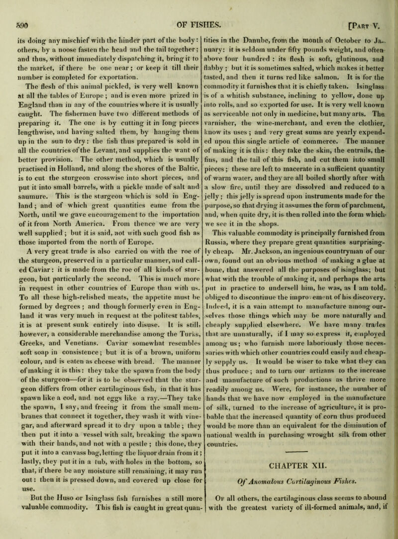 its doing1 any mischief with the hinder part of the body: others, by a noose fasten the head and the tail together; and thus, without immediately dispatching it, bring it to the market, if there be one near; or keep it till their number is completed for exportation. The flesh of this animal pickled, is very well known at all the tables of Europe ; and is even more prized in England than in any of the countries where it is usually caught. The fishermen have two different methods of preparing it. The one is by cutting it in long pieces lengthwise, and having salted them, by hanging them up in the sun to dry: the fish thus prepared is sold in all the countries of the Levant, and supplies the want of better provision. The other method, which is usually practised in Holland, and along the shores of the Baltic, is to cut the sturgeon crosswise into short pieces, and put it into small barrels, with a pickle made of salt and saumure. This is the sturgeon which is sold in Eng- land ; and of which great quantities came from the North, until we gave encouragement to the importation of it from North America. From thence we are very well supplied ; but it is said, not with such good fish as those imported from the north of Europe. A very great trade is also carried on with the roe of the sturgeon, preserved in a particular manner, and call- ed Caviar: it is made from the roe of all kinds of stur- geon, but particularly the second. This is much more in request in other countries of Europe than with us. To all these high-relished meats, the appetite must be formed by degrees ; and though formerly even in Eng- land it was very much in request at the politest tables, it is at present sunk entirely into disuse. It is still, however, a considerable merchandise among the Turks, Greeks, and Venetians. Caviar somewhat resembles soft soap in consistence; but it is of a brown, uniform colour, and is eaten as cheese with bread. The manner of making it is this: they take the spawn from the body of the sturgeon—for it is to be observed that the stur- geon differs from other cartilaginous fish, in that it has spawn like a cod, and not eggs like a ray.—They take the spawn, I say, and freeing it from the small mem- branes that connect it together, they wash it with vine- gar, and afterward spread it to dry upon a table; they then put it into a vessel with salt, breaking the spawn with their hands, and not with a pestle ; this done, they put it into a canvass bag,letting the liquor drain from it; lastly, they put it in a tub, with holes in the bottom, so that, if there be any moisture still remaining, it may run out: then it is pressed down, and covered up close for use. But the Huso or Isinglass fish furnishes a still more valuable commodity. This fish is caught in great quan- tities in the Danube, from the month of October to Ja- nuary: it is seldom under fifty pounds weight, and often above tour hundred : its flesh is soft, glutinous, and flabby ; but it is sometimes salted, which makes it better tasted, and then it turns red like salmon. It is for the commodity it furnishes that it is chiefly taken. Isinglass is of a whitish substance, inclining to yellow, done up into rolls, and so exported for use. It is very well known as serviceable not only in medicine, but many arts. The varnisher, the wine-merchant, and even the clothier, know its uses ; and very great sums are yearly expend- ed upon this single article of commerce. The manner of making it is this: they take the skin, the entrails, the fins, and the tail of this fish, and cut them into small pieces ; these are left to macerate in a sufficient quantity of warm water, and they are all boiled shortly after with a slow fire, until they are dissolved and reduced to a jelly ; this jelly is spread upon instruments made for the purpose, so that drying it assumes the form of parchment, and, when quite dry, it is then rolled into the form which- we see it in the shops. This valuable commodity is principally furnished from Russia, where they prepare great quantities surprising- ly cheap. Mr. Jackson, an ingenious countryman of our own, found out an obvious method of making a glue at home, that answered all the purposes of isinglass; but what with the trouble of making it, and perhaps the arts put in practice to undersell him, he was, as l am told,. ■ oblig'ed to discontinue the iinpro ement of his discovery. Indeed, it is a vain attempt to manufacture among our- selves those things which may be more naturally and cheaply supplied elsewhere. We have many trades that are unnaturally, if I may so express it, employed among us; who furnish more laboriously those neces- saries with which other countries could easily and cheap- ly supply us. It w ould be wiser to take what they can thus produce ; and to turn our artizans to the increase and manufacture of such productions as thrive more readily among us. Were, for instance, the number of hands that we have now employed in the manufacture of silk, turned to the increase of agriculture, it is pro- bable that the increased quantity of corn thus produced would be more than an equivalent for the diminution of national wealth in purchasing wrought silk from other countries. CHAPTER XII. Of Anomalous Cartilaginous Pishes. Of all others, the cartilaginous class seems to abound with the greatest variety of ill-formed animals, and, if