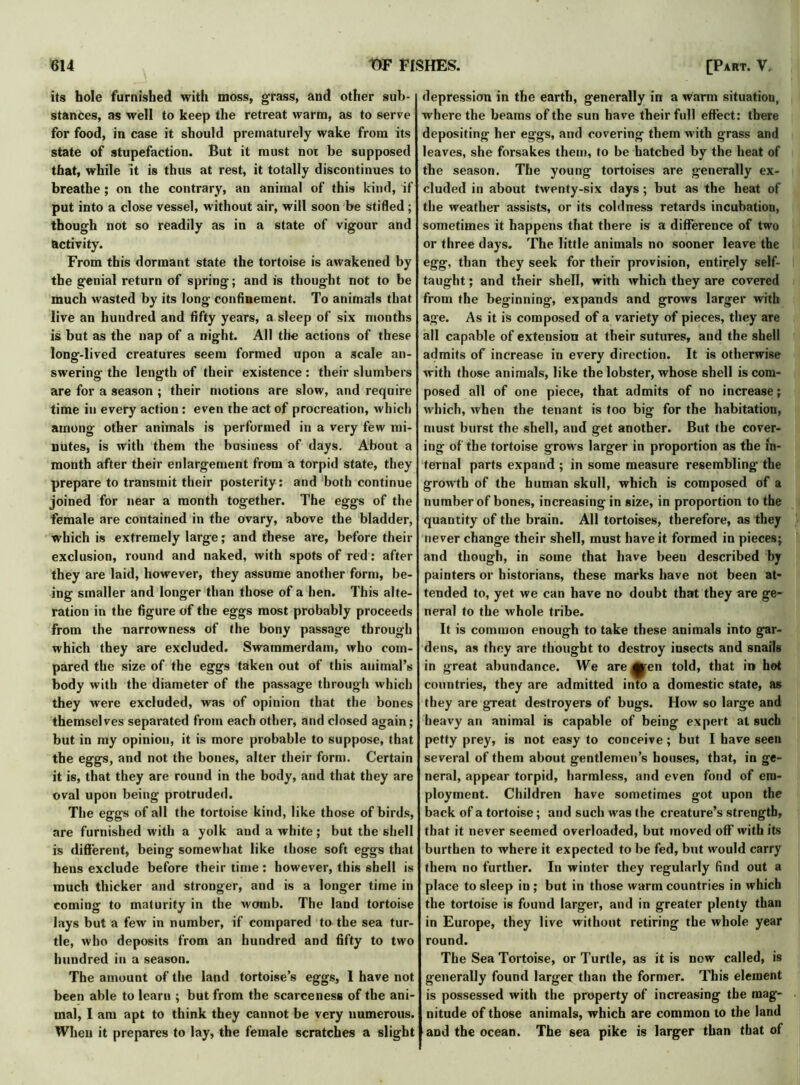 its hole furnished with moss, grass, and other sub- stances, as well to keep the retreat warm, as to serve for food, in case it should prematurely wake from its state of stupefaction. But it must not be supposed that, while it is thus at rest, it totally discontinues to breathe; on the contrary, an animal of this kind, if put into a close vessel, without air, will soon be Stifled ; though not so readily as in a state of vigour and activity. From this dormant state the tortoise is awakened by the genial return of spring; and is thought not to be much wasted by its long confinement. To animals that live an hundred and fifty years, a sleep of six months is but as the nap of a night. All the actions of these long-lived creatures seem formed upon a scale an- swering the length of their existence: their slumbers are for a season ; their motions are slow, and require time in every action: even the act of procreation, which among other animals is performed in a very few mi- nutes, is with them the business of days. About a month after their enlargement from a torpid state, they prepare to transmit their posterity : and both continue joined for near a month together. The eggs of the female are contained in the ovary, above the bladder, which is extremely large; and these are, before then- exclusion, round and naked, with spots of red: after they are laid, however, they assume another form, be- ing smaller and longer than those of a hen. This alte- ration in the figure of the eggs most probably proceeds from the narrowness of the bony passage through which they are excluded. Swammerdam, who com- pared the size of the eggs taken out of this animal’s body with the diameter of the passage through which they were excluded, was of opinion that the bones themselves separated from each other, and closed again; but in my opinion, it is more probable to suppose, that the eggs, and not the bones, alter their form. Certain it is, that they are round in the body, and that they are oval upon being protruded. The eggs of all the tortoise kind, like those of birds, are furnished with a yolk and a white; but the shell is different, being somewhat like those soft eggs that hens exclude before their time: however, this shell is much thicker and stronger, and is a longer time in coming to maturity in the womb. The land tortoise lays but a few in number, if compared to the sea tur- tle, who deposits from an hundred and fifty to two hundred in a season. The amount of the land tortoise’s eggs, I have not been able to learn ; but from the scarceness of the ani- mal, I am apt to think they cannot be very numerous. When it prepares to lay, the female scratches a slight depression in the earth, generally in a warm situation, where the beams of the sun have their full effect: there depositing her eggs, and covering them with grass and leaves, she forsakes them, to be hatched by the heat of the season. The young tortoises are generally ex- cluded in about twenty-six days; but as the heat of the weather assists, or its coldness retards incubation, sometimes it happens that there is a difference of two or three days. The little animals no sooner leave the egg, than they seek for their provision, entirely self- taught ; and their shell, with which they are covered from the beginning-, expands and grows larger with age. As it is composed of a variety of pieces, they are all capable of extension at their sutures, and the shell admits of increase in every direction. It is otherwise with those animals, like the lobster, whose shell is com- posed all of one piece, that admits of no increase; which, when the tenant is too big for the habitation, must burst the shell, and get another. But the cover- ing of the tortoise grows larger in proportion as the in- ternal parts expand ; in some measure resembling the growth of the human skull, which is composed of a number of bones, increasing in size, in proportion to the quantity of the brain. All tortoises, therefore, as they never change their shell, must have it formed in pieces; and though, in some that have been described by painters or historians, these marks have not been at- tended to, yet we can have no doubt that they are ge- neral to the whole tribe. It is common enough to take these animals into gar- dens, as they are thought to destroy insects and snails in great abundance. We are 0en told, that in hot countries, they are admitted into a domestic state, as they are great destroyers of bugs. How so large and heavy an animal is capable of being expert at such petty prey, is not easy to conceive; but I have seen se veral of them about gentlemen’s houses, that, in ge- neral, appear torpid, harmless, and even fond of em- ployment. Children have sometimes got upon the back of a tortoise; and such was the creature’s strength, that it never seemed overloaded, but moved off with its burthen to where it expected to be fed, but would carry them no further. In winter they regularly find out a place to sleep in ; but in those warm countries in which the tortoise is found larger, and in greater plenty than in Europe, they live without retiring the whole year round. The Sea Tortoise, or Turtle, as it is now called, is generally found larger than the former. This element is possessed with the property of increasing the mag- nitude of those animals, which are common to the land and the ocean. The sea pike is larger than that of