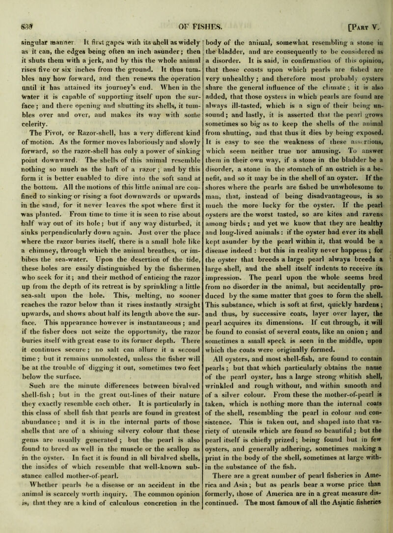 singular manner. It first gapes with its shell as widely as it can, the edges being often an inch asunder; then it shuts them with a jerk, and by this the whole animal rises five or six inches from the ground. It thus tum- bles any how forward, and then renews the operation until it has attained its journey’s end. When in the Water it is capable of supporting itself upon the sur- face ; aud there opening and shutting its shells, it tum- bles over and over, and makes its way with soifie celerity. The Pivot, or Razor-shell, has a very different kind of motion. As the former moves laboriously and slowly forward, so the razor-shell has only a power of sinking point downward. The shells of this animal resemble nothing so much as the haft of a razor ; and by this form it is better euabled to dive into the soft sand at the bottom. All the motions of this little animal are con- fined to sinking or rising a foot downwards or upwards in the sand, for it never leaves the spot where first it was planted. From time to time it is seen to rise about half way out of its hole; but if any wray disturbed, it sinks perpendicularly down again. Just over the place where the razor buries itself, there is a small hole like a chimney, through which the animal breathes, or im- bibes the sea-water. Upon the desertion of the tide, these boles are easily distinguished by the fishermen who seek for it; and their method of enticing the razor up from the depth of its retreat is by sprinkling a little sea-salt upon the hole. This, melting, no sooner reaches the razor below than it rises instantly straight upwards, and shows about half its length above the sur- face. This appearance however is instantaneous ; and if the fisher does not seize the opportunity, the razor buries itself with great ease to its former depth. There it continues secure; no salt can allure it a second time ; but it remains unmolested, unless the fisher will be at the trouble of digging it out, sometimes two feet below the surface. Such are the minute differences between bivalved shell-fish ; but in the great out-lines of their nature they exactly resemble each other. It is particularly in this class of shell fish that pearls are found in greatest abundance; and it is in the internal parts of those shells that are of a shining silvery colour that these gems are usually generated ; but the pearl is also found to breed as well in the muscle or the scallop as in the oyster. In fact it is found in all bivalved shells, the insides of which resemble that well-known sub- stance called mother-of-pearl. Whether pearls be a disease or an accident in the animal is scarcely worth inquiry. The common opinion is, that they are a kind of calculous concretion in the body of the animal, somewhat resembling a stone in the bladder, and are consequently to be considered as a disorder. It is said, in confirmation of this opinion, that those coasts upon which pearls are fished are very unhealthy ; and therefore most probably oysters share the general influence of the climate ; it is also added, that those oysteis in which pearls are found are always ill-tasted, which is a sign of their being hh- sound; and lastly, it is asserted that the pearl grows sometimes so big as to keep the shells of the animal from shutting, and that thus it dies by being exposed. It is easy to see the weakness of these assertions, which seem neither true nor amusing. To answer them in their own way, if a stone in the bladder be a disorder, a stone in the stomach of an ostrich is a be- nefit, and so it may be in the shell of an oyster. If the shores where the pearls are fished be unwholesome to man, that, instead of being disadvantageous, is so much the more lucky for the oyster. If the pearl oysters are the worst tasted, so are kites and ravens among birds ; and yet we know that they are healthy and long-lived animals: if the oyster had ever its shell kept asunder by the pearl within it, that would be a disease indeed : but this in reality never happens; for the oyster that breeds a large pearl always breeds a large shell, and the shell itself indents to receive its impression. The pearl upon the whole seems bred from no disorder in the animal, but accidentally pro- duced by the same matter that goes to form the shell. This substance, which is soft at first, quickly hardens ; and thus, by successive coats, layer over layer, the pearl acquires its dimensions. If cut through, it will be found to consist of several coats, like an onion; and sometimes a small speck is seen in the middle, upon which the coats were originally formed. All oysters, and most shell-fish, are found to contain pearls; but that which particularly obtains the name of the pearl oyster, has a large strong whitish shell, wrinkled and rough without, and within smooth and of a silver colour. From these the mother-of-pearl is taken, which is nothing more than the internal coats of the shell, resembling the pearl in colour and con- sistence. This is taken out, and shaped into that va- riety of utensils which are found so beautiful; but the pearl itself is chiefly prized; being found but in few oysters, and generally adhering, sometimes making a print in the body of the shell, sometimes at large with- in the substance of the fish. There are a great number of pearl fisheries in Ame- rica and Asia; but as pearls bear a worse price than formerly, those of America are in a great measure dis- continued. The most famous of all the Asjatic fisheries