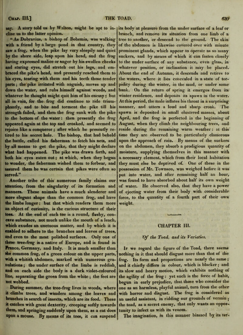 say. A story told us by Walton, might be apt to in- cline us to the latter opinion. “As Dubravius, a bishop of Bohemia, was walking with a friend by a large pond in that country, they saw a frog, when the pike lay very sleepily and quiet by the shore side, leap upon his head, and the frog having expressed malice or anger by his swollen cheeks and staring eyes, did stretch out his legs, and em- braced the pike’s head, and presently reached them to his eyes, tearing with them and his teeth those tender parts; the pike irritated with anguish, moves up and down the water, and rubs himself against weeds, and whatever he thought might quit him of his enemy ; but all in vain, for the frog did continue to ride trium- phantly, and to bite and torment the pike till his strength failed, and then the frog sunk with the pike to the bottom of the water: then presently the frog appeared again at the top and croaked, and seemed to rejoice like a conqueror ; after which he presently re- tired to his secret hole. The bishop, that had beheld the battle, called his fisherman to fetch his nets, and by all means to get the pike, that they might declare what had happened. The pike was drawn forth, and both his eyes eaten out; at which, when they began to wonder, the fisherman wished them to forbear, and assured them he was certain that pikes were often so served.” Another tribe of this numerous family claims our attention, from the singularity of its formation and manners. These animals have a much slenderer and more elegant shape than the common frog, and have the limbs longer : but that which renders them more an object of curiosity, is the curious structure of their toes. At the end of each toe is a round, fleshy, con- cave substance, not much unlike the mouth of a leach, which exudes an unctuous matter, and by which it is enabled to adhere to the branches and leaves of trees, and even to the most polished surfaces. Only one of these tree-frog is a native of Europe, and is found in Prance, Germany, and Italy. It is much smaller than the common frog, of a green colour on the upper parts, with a whitish abdomen, marked with numerous gra- nulations ; the under surface of the limbs is reddish, and on each side the body is a dark violet-coloured line, separating the green from the white ; the feet are not webbed. During summer, the tree-frog lives in woods, where it climbs trees, and wanders among the leaves and branches in search of insects, which are its food. These it catches with great dexterity, creeping softly towards them, and springing suddenly upon them, as a cat does upon a mouse. By means of its toes, it can suspend its body at pleasure from the under surface of a leaf or branch, and remove its situation from one limb of a tree to another, or descend to the ground. The skin of the abdomen is likewise covered over with minute prominent glands, which appear to operate as so many suckers, and by means of which it can fasten closely to the under surface of any substance, even glass, in whatever position, or inclination it may be placed. About the end of Autumn, it descends and retires to the waters, where it lies concealed in a state of tor- pidity during the winter, in the mud, or under some bank. On the return of spring it emerges from its winter residence, and deposits its spawn in the water. At this period, the male inflates his throat in a surprising manner, and utters a loud and sharp croak. The spawn is deposited in small clustered masses, about April, and the frog is perfected in the beginning of August, when they climb the neighbouring trees, and reside during the remaining warm weather: at this time they are observed to be particularly clamorous upon the approach of rain. By means of the suckers on the abdomen, they absorb a prodigious quantity of moisture, supplying themselves in this manner with a necessary element, which from their local habitation they must else be deprived of. One of these in the possession of Mr. Townson, wTas weighed before it was put into water, and after remaining half an hour, was found to have absorbed about half its own weight of water. He observed also, that they have a power of ejecting water from their body with considerable force, to the quantity of a fourth part of their own weight. CHAPTER III. Of the Toad, and its Varieties. If we regard the figure of the Toad, there seems nothing in it that should disgust more than that of the frog. Its form and proportions are nearly the same ; and it chiefly differs in colour, which is blacker; and its slow and heavy motion, which exhibits nothing ot the agility of the frog: yet such is the force of habit, begun in early prejudice, that those who consider the one as an harmless, playful animal, turn from the other with horror and disgust. Tbe frog is considered as an useful assistant, in ridding our grounds of vermin ; the toad, as a secret enemy, that only wants an oppor- tunity to infect us with its venom. The imagination, fn this manner biassed by its ter-