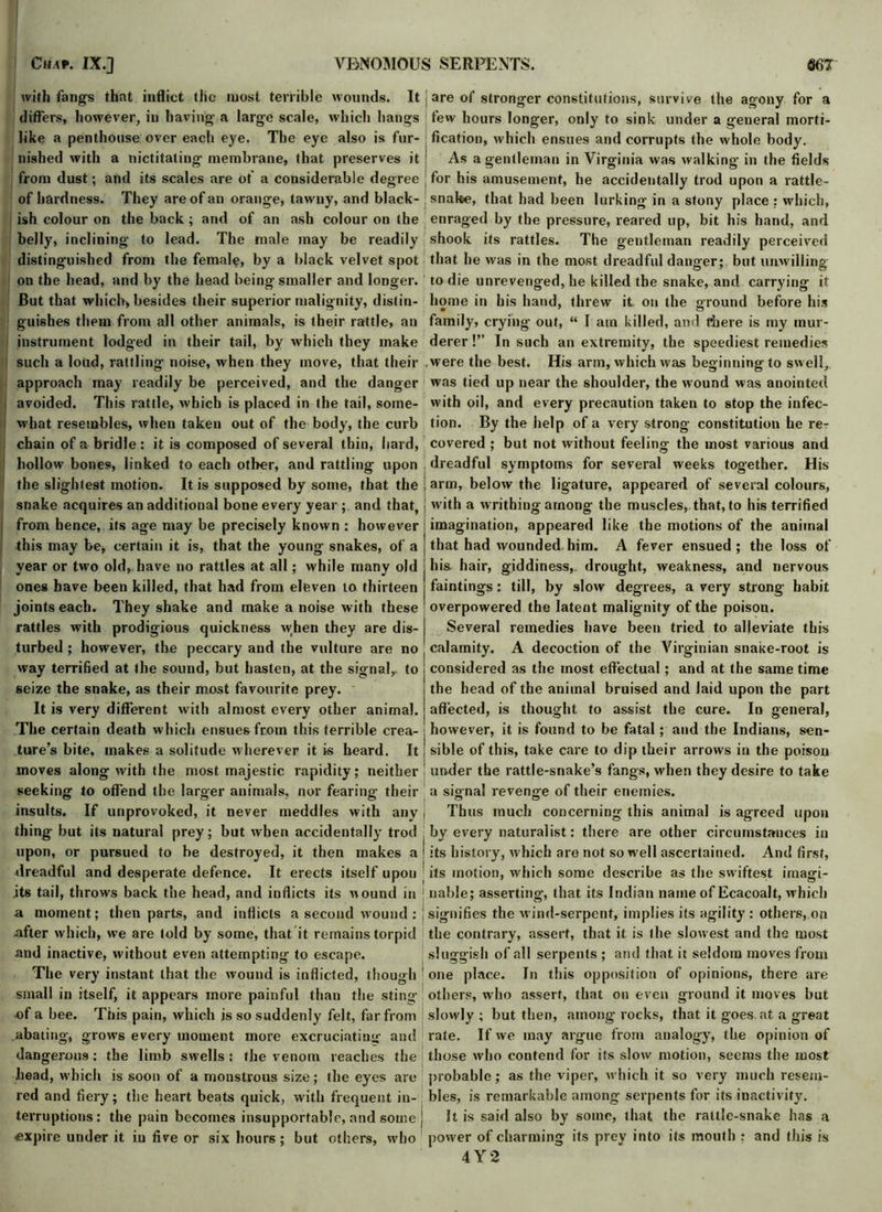 with fangs that inflict the most terrible wounds. It differs, however, in having a large scale, which hangs like a penthouse over each eye. The eye also is fur- nished with a nictitating membrane, that preserves it from dust; and its scales are of a considerable degree of hardness. They are of an orange, tawny, and black- ish colour on the back ; and of an ash colour on the belly, inclining to lead. The male may be readily distinguished from the female, by a black velvet spot on the head, and by the head being smaller and longer. But that which, besides their superior malignity, distin- guishes them from all other animals, is their rattle, an instrument lodged in their tail, by which they make such a loud, rattling noise, when they move, that their approach may readily be perceived, and the danger ! avoided. This rattle, which is placed in the tail, some- what resembles, when taken out of the body, the curb chain of a bridle: it is composed of several thin, bard, hollow bones, linked to each other, and rattling upon the slightest motion. It is supposed by some, that the snake acquires an additional bone every year ; and that, from hence, its age may be precisely known : however this may be, certain it is, that the young snakes, of a year or two old, have no rattles at all; while many old ones have been killed, that had from eleven to thirteen joints each. They shake and make a noise with these rattles with prodigious quickness when they are dis- turbed ; however, the peccary and the vulture are no way terrified at the sound, but hasten, at the signal, to seize the snake, as their most favourite prey. It is very different with almost every other animal. The certain death which ensues from this terrible crea- ture’s bite, makes a solitude wherever it is heard. It moves along with the most majestic rapidity; neither seeking to offend the larger animals, nor fearing their insults. If unprovoked, it never meddles with any thing but its natural prey; but when accidentally trod upon, or pursued to be destroyed, it then makes a dreadful and desperate defence. It erects itself upon its tail, throws back the head, and inflicts its wound in a moment; then parts, and inflicts a second wound : after which, we are told by some, that it remains torpid and inactive, without even attempting to escape. The very instant that the wound is inflicted, though small in itself, it appears more painful than the sting of a bee. This pain, which is so suddenly felt, far from abating, grows every moment more excruciating and dangerous: the limb swells: the venom reaches the head, which is soon of a monstrous size; the eyes are red and fiery; the heart beats quick, with frequent in- terruptions: the pain becomes insupportable, and some expire under it iu five or six hours; but others, who are of stronger constitutions, survive the agony for a tew hours longer, only to sink under a general morti- fication, which ensues and corrupts the whole body. As a gentleman in Virginia was walking in the fields for his amusement, he accidentally trod upon a rattle- ! snake, that had been lurking in a stony place : which, enraged by the pressure, reared up, bit his hand, and shook its rattles. The gentleman readily perceived that he was in the most dreadful danger; but unwilling to die unrevenged, he killed the snake, and carrying it home in his hand, threw it on the ground before his family, crying out, “ I am killed, and fhere is my mur- derer !” In such an extremity, the speediest remedies were the best. His arm, which was beginning to swell, was tied up near the shoulder, the wound was anointed with oil, and every precaution taken to stop the infec- tion. By the help of a very strong constitution he re- covered ; but not without feeling the most various and dreadful symptoms for several weeks together. His arm, below the ligature, appeared of several colours, with a writhing among the muscles,, that, to his terrified imagination, appeared like the motions of the animal that had wounded him. A fever ensued ; the loss of his hair, giddiness,, drought, weakness, and nervous faintings: till, by slow degrees, a very strong habit overpowered the latent malignity of the poison. Several remedies have been tried to alleviate this calamity. A decoction of the Virginian snake-root is considered as the most effectual; and at the same time the head of the animal bruised and laid upon the part affected, is thought to assist the cure. In general, however, it is found to be fatal; and the Indians, sen- sible of this, take care to dip their arrows in the poison under the rattle-snake’s fangs, when they desire to take a signal revenge of their enemies. j Thus much concerning this animal is agreed upon : by every naturalist: there are other circumstances in I its history, which aro not so well ascertained. And first, its motion, which some describe as the swiftest imagi- | nable; asserting-, that its Indian name of Ecacoalt, which | signifies the wind-serpent, implies its agility : others, on j the contrary, assert, that it is the slowest and the most sluggish of all serpents ; and that it seldom moves from ! one place. In this opposition of opinions, there are others, who assert, that on even ground it moves but slowly ; but then, among- rocks, that it goes at a great > rate. If we may argue from analogy, the opinion of j those who contend for its slow motion, seems the most | probable; as the viper, which it so very much resem- bles, is remarkable among serpents for its inactivity, j It is said also by some, that the rattle-snake has a power of charming its prey into its mouth : and this is 4 Y 2
