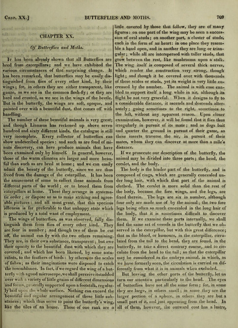 CHAPTEk XX. Of Butterflies and Moths. It has been already shown that all Butterflies are bred from caterpillars; and we have exhibited the various circumstances of that surprising change. It has been remarked, that butterflies may be easily dis- tinguished from flies of every other kind, by their wings; for, in others they are either transparent, like gauze, as we see in the common flesh-fly; or they are hard and crusted, as we see in the wings of the beetle. But in the butterfly, the wings are soft, opaque, and painted over with a beautiful dust, that comes off with handling. The number of these beautiful animals is very great; and though Linnaeus has reckoned up above seven hundred and sixty different kinds, the catalogue is still very incomplete. Every collector of butterflies can show undescribed species: and such as are fond of mi- nute discovery, can here produce animals that have been examined only by himself. In general, however, those of the warm climates are larger and more beau- ful than such as are bred at home ; and we can easily admit the beauty of the butterfly, since we are thus freed from the damage of the caterpillar. It has been the amusement of some to collect these animals from different parts of the world ; or to breed them from caterpillars at home. These they arrange in systema- tic order ; or dispose so as to make striking and agree- able pictures: and all must grant, that this specious idleness is far preferable to that unhappy state which is produced by a total want of employment. The wings of butterflies, as was observed, fully dis- tinguish them from flies of every other kind. They are four in number; and though two of them be cut off, the animal can fly with the two others remaining. They are, in their own substance, transparent; but owe their opacity to the beautiful dust with which they are covered; and which has beeu likened, by some natu- ralists, to the feathers of birds : by others, to the scales of fishes; as their imaginations were disposed to catch the resemblance. In fact, if we regard the wing of a but- terfly with agood microscope,we shall perceiveitstudded over with a variety of little grains of different dimensions and forms, generally supported upon a footstalk, regular- ly laid upon the whole surface. Nothing can exceed the beautiful and regular arrangement of these little sub- stances; which thus serve to paint the butterfly’s wing, like the tiles of an house. Those of one rank are a little covered by those that follow, they are of many figures: on one part of the wing may be seen a succes- sion of oval studs; on another part, a cluster of studs, each in the form of an heart: in one place they resem- ble a h^nd open, and in another they are long or trian- gular; while all are interspersed with taller studs, that grow between the rest, like mushrooms upon a stalk. The wing itself is composed of several thick nerves, which render the construction very strong, though light; and though it be covered over with thousands of these scales or studs, yet its weight is very little en- creased by the number. The animal is with ease ena- bled to support itself a long while in air, although its flight be not very graceful. When it designs to fly to a considerable distance, it ascends and descends alter- nately ; going sometimes to the right, sometimes to the left, without any apparent reason. Upon closer examination, however, it will be found that it flies thus irregularly in pursuit of its mate ; and as dogs bait and quarter the ground in pursuit of their game, so these insects traverse the air, in pursuit of their mates, whom they can discover at more than a mile's distance. If we prosecute our description of the butterfly, the animal may be divided into three parts; the head, the corslet, and the body. The body is the hinder part of the butterfly, and is composed of rings, which are generally concealed un- der long hair, with which that part of the animal is clothed. The corslet is more solid than the rest of the body, because the fore wings, and the legs, are fixed therein. The legs are six in number, although four only are made use of by the animal; the two fore leas being; often so much concealed in the long; hair of the body, that it is sometimes difficult to discover them. If we examine these parts internally, we shall find the same set of vessels iu the butterfly that we ob- served in the caterpillar, but with this great difference; that as the blood, or humours, in the caterpillar, circu- lated from the tail to the head, they are found, in the butterfly, to take a direct contrary course, and to cir- culate from the head to the tail; so that the caterpillar may be considered as the embryo animal, in which, as we have formerly seen, the circulation is carried on dif- ferently from what it is in animals when excluded. But leaving the other parts of the butterfly, let us turn our attention particularly to the head. The eyes of butterflies have not all the same form ; for, in some they are large, in others small ; in some they are the larger portion of a sphere, in others they are but a small part of it, and just appearing from the head. In all of them, however, the outward coat has a lustre.,