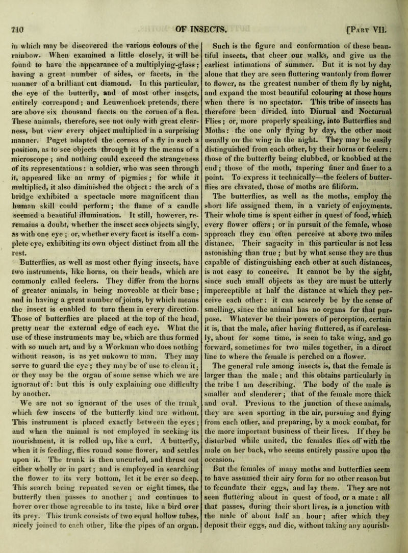 in which may be discovered the various colours of the rainbow. When examined a little closely, it will be found to have the appearance of a multiplyiug-glass; having a great number of sides, or facets, in the manner of a brilliant cut diamond. In this particular, the eye of the butterfly, and of most other insects, entirely correspond; and Leuwenhoek pretends, there are above six thousand facets on the cornea of a flea. These animals, therefore, see not only with great clear- ness, but view every object multiplied in a surprising manner. Puget adapted the cornea of a fly in such a position, as to see objects through it by the means of a microscope ; and nothing could exceed the strangeness of its representations : a soldier, who was seen through it, appeared like an army of pigmies ; for while it multiplied, it also diminished the object: the arch of a bridge exhibited a spectacle more magnificent than human skill could perform; the flame of a candle seemed a beautiful illumination. It still, however, re- retnains a doubt, whether the insect sees objects singly, as with one eye ; or, whether every facet is itself a com- plete eye, exhibiting its own object distinct from all the rest. Butterflies, as well as most other flying insects, have two instruments, like horns, on their heads, which are commonly called feelers. They differ from the horns of greater animals, in being moveable at their base; and in having a great number of joints, by which means the insect is enabled to turn them in every direction. Those of butterflies are placed at the top of the head, pretty near the external edge of each eye. What the use of these instruments may be, which are thus formed with so much art, and by a Workman who does nothing without reason, is as yet unkown tc man. They may serve to guard the eye ; they may be of use to clean it; or they may be the organ of some sense which we are ignorant of: but this is only explaining one difficulty by another. We are not so ignorant of the uses of the trunk which few insects of the butterfly kind are without. This instrument is placed exactly between the eyes; and when the animal is not employed in seeking its nourishment, it is rolled up, like a curl. A butterfly, when it is feeding, flies round some flower, and settles upon it. The trunk is then uncurled, and thrust out either wholly or in part; and is employed in searching the flower to its very bottom, let it be ever so deep. This search being repeated seven or eight times, the butterfly then passes to another; and continues to hover over those agreeable to its taste, like a bird over its prey. This trunk consists of two equal hollow tubes, nicely joined to each other, like the pipes of an organ. Such is the figure and conformation of these beau- tiful insects, that cheer our walk's, and give us the earliest intimations of summer. But it is not by day alone that they are seen fluttering wantonly from flower to flower, as the greatest number of them fly by night, and expand the most beautiful colouring at those hours when there is no spectator. This tribe of insects has therefore been divided into Diurnal and Nocturnal Flies ; or, more properly speaking, into Butterflies and Moths: the one only flying by day, the other most usually on the wing in the night. They may be easily distinguished from each other, by their horns or feelers: those of the butterfly being clubbed, or knobbed at the end ; those of the moth, tapering finer and finer to a point. To express it technically—the feelers of butter- flies are clavated, those of moths are filiform. The butterflies, as well as the moths, employ the short life assigned them, in a variety of enjoyments. Their whole time is spent either in quest of food, which every flower offers ; or in pursuit of the female, whose approach they can often perceive at above two miles distance. Their sagacity in this particular is not less astonishing than true ; but by what sense they are thus capable of distinguishing each other at such distances, is not easy to conceive. It cannot be by the sight, since such small objects as they are must be utterly imperceptible at half the distance at which they per- ceive each other: it can scarcely be by the sense of smelling, since the animal has no organs for that pur- pose. Whatever be their powers of perception, certain it is, that the male, after having fluttered, as if careless- ly, about for some time, is seen to take wing, and go forward, sometimes for two miles together, in a direct line to where the female is perched on a flower. The general rule among insects is, that the female is larger than the male; and this obtains particularly in the tribe I am describing. The body of the male is smaller and slenderer ; that of the female more thick and oval. Previous to the junction of these animals, they are seen sporting in the air, pursuing and flying from each other, and preparing, by a mock combat, for the more important business of their lives. If they be disturbed while united, the females flies off with the male on her back, who seems entirely passive upon the occasion. But the females of many moths and butterflies seem to have assumed their airy form for no other reason but to fecundate their eggs, and lay them. They are not seen fluttering about in quest of food, or a mate: all that passes, during their short lives, is a junction with the male of about half an hour; after which they deposit their eggs, and die, without taking any upurish-