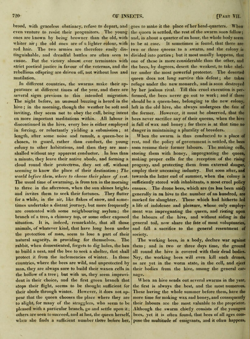 brood, with graceless obstinacy, refuse to depart, and even venture to resist their progenitors. The young ones are known by being browner than the old, with ■whiter air; the old ones are of a lighter colour, with red hair. The two armies are therefore easily dis- tinguishable, and dreadful battles are often seen to ensue. But the victory almost ever terminates with strict poetical justice in favour of the veterans, and the rebellious offspring are driven off, not without loss and mutilation. In different countries, the swarms make their ap- pearance at different times of the year, and there are several signs previous to this intended migration. The night before, an unusual buzzing is heard in the hive ; in the morning, though the weather be soft and inviting, they seem not to obey the call, being intent on more important meditations within. All labour is discontinued in the hive, every bee is either employed in forcing, or reluctantly yielding a submission; at length, after some noise and tumult, a queen-bee is chosen, to guard, rather than conduct, the young’ colony to other habitations, and then they are mar- shalled without any apparent conductor. In less than a minute, they leave their native abode, and forming a cloud round their protectress, they set off', without seeming to know the place of their destination ; The world before them, where to choose their place of rest. The usual time of swarming, is from ten in the morning to three in the afternoon, when the sun shines bright* and invites them to seek their fortunes. They flutter for a while, in the air, like flakes of snow, and some- times undertake a distant journey, but more frequently are contented with some neighbouring asylum; the branch of a tree, a chimney top, or some other exposed situation. It is, indeed, remarkable, that all those animals, of whatever kind, that have long been under the protection of man, seem to lose a part of their natural sagacity, in providing for themselves. The rabbit, when domesticated, forgets to dig holes, the hen to build a nest, and the bee to seek a shelter, that shall protect it from the inclemencies of winter. In those countries, where the bees are wild, and unprotected by man, they are always sure to build their waxen cells in the hollow of a tree; but with us, they seem improvi- dent in their choice, and the first green branch that stops their flight, seems to be thought sufficient for their abode through winter. However, it does not ap- pear that the queen chooses the place where they are to alight, for many of the stragglers, who seem to be pleased with a particular branch, go and settle upon it; others are seen to succeed, and at last, the queen herself, when she finds a sufficient number there before her, goes to make it the place of her bead-quarters. When the queen is settled, the rest of the swarm soon follow; and, in about a quarter of an hour, the whole body seem to be at ease. It sometimes is found, that there are two or three qneens to a swarm, and the colony is divided into parties ; but it most usually happens, that one of these is more considerable than the other, and the bees, by degrees, desert the weakest, to take shel- ter under the most powerful protector. The deserted queen does not long survive this defeat; she takes refuge under the new monarch, and is soon destroyed by her jealous rival. Till this cruel execution is per- formed, the bees never go out to work; and if there should be a qneen-bee, belonging to the new colony, left in the old hive, she always undergoes the fate of the former. However, it must be observed, that the bees never sacrifice any of their queens, when the hive is full of wax and honey ; for there is at that time no danger in maintaining a plurality of breeders. When the swarm is thus conducted to a place of rest, and the policy of government is settled, the bees soon resume their former labours. The making cells, storing them with honey, impregnating the queen, making proper cells for the reception of the rising progeny, and protecting them from external danger, employ their unceasing industry. But soon after, and towards the latter end of summer, when the colony is sufficiently stored with inhabitants, a most cruel policy ensues. The drone bees, which are (as has been said) generally in an hive to the number of an hundred, are marked for slaughter. These which had hitherto led a life of indolence and pleasure, whose only employ- ment was impregnating the queen, and rioting upon the labours of the hive, and without aiding in the general toil, now share the fate of most voluptuaries, and fall a sacrifice to the general resentment of society. The working bees, in a body, declare war against them ; and in two or three days time, the ground all round the hive is covered with their dead bodies. Nay, the working bees will even kill such drones, as are yet in the worm state, in the cell, and eject their bodies from the hive, among the general car- nage. When an hive sends out several swarms in the year, the first is always the best, and the most numerous. These having the whole summer before them, have the more time for making wax and honey, and consequently their labours are the most valuable to the proprietor. Although the swarm chiefly consists of the youngest bees, yet it is often found, that bees of all ages com- pose the multitude of emigrants, and it often happens,