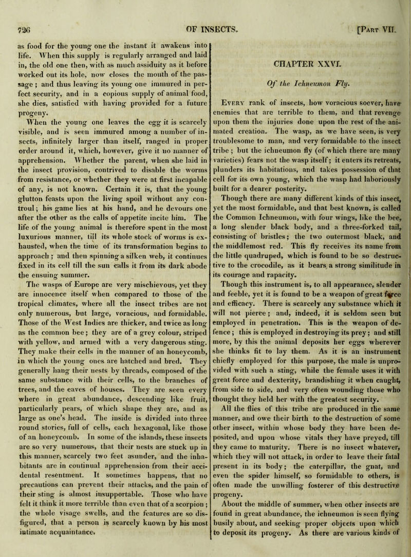 as food for the young one the instant it awakens into life. When this supply is regularly arranged and laid in, the old one then, with as much assiduity as it before worked out its hole, now closes the mouth of the pas- sage ; and thus leaving its young one immured in per- fect security, and in a copious supply of animal food, she dies, satisfied with having provided for a future progeny. When the young one leaves the egg it is scarcely visible, and is seen immured among a number of in- sects, infinitely larger than itself, ranged in proper order around it, which, however, give it no manner of apprehension. Whether the parent, when she laid in the insect provision, contrived to disable the worms from resistance, or whether they were at first incapable of any, is not known. Certain it is, that the young- glutton feasts upon the living spoil without any con- troul; his game lies at his hand, and he devours one after the other as the calls of appetite incite him. The life of the young animal is therefore spent in the most luxurious manner, till its whole stock of worms is ex- hausted, when the time of its transformation begins to approach ; and then spinning a silken web, it continues fixed in its cell till the sun calls it from its dark abode the ensuing summer. The wasps of Europe are very mischievous, yet they are innocence itself when compared to those of the tropical climates, where all the insect tribes are hot only numerous, but large, voracious, and formidable. Those of the West Indies are thicker, and twice as long as the common bee; they are of a grey colour, striped with yellow, and armed with a very dangerous sting. They make their cells in the manner of an honeycomb, in which the young ones are hatched and bred. They generally hang their nests by threads, composed of the same substance with their cells, to the branches of trees, and the eaves of houses. They are seen every where in great abundance, descending like fruit, particularly pears, of which shape they are, and as large as one’s head. The inside is divided into three round stories, full of cells, each hexagonal, like those of an honeycomb. In some of the islands, these insects are so very numerous, that their nests are stuck up in this manner, scarcely two feet asxmder, and the inha- bitants are in continual apprehension from their acci- dental resentment. It sometimes happens, that no precautions can prevent their attacks, and the pain of their sting is almost insupportable. Those who have felt it think it more terrible than even that of a scorpion ; the whole visage swells, and the features are so dis- figured, that a person is scarcely known by his most intimate acquaintance. CHAPTER XXVI. Of the Ichneumon Fly. Every rank of insects, how voracious soever, have enemies that are terrible to them, and that revenge upon them the injuries done upon the rest of the ani- mated creation. The wasp, as we have seen, is very troublesome to man, and very formidable to the insect tribe; but the ichneumon fly (of which there are many varieties) fears not the wasp itself; it enters its retreats, plunders its habitations, and takes possession of that cell for its own young, which the wasp had laboriously built for a dearer posterity. Though there are many different kinds of this insect, yet the most formidable, and that best known, is called the Common Ichneumon, with four wings, like the bee, a long slender black body, and a three-forked tail, consisting of bristles; the two outermost black, and the middlemost red. This fly receives its name from the little quadruped, which is found to be so destruc- tive to the crocodile, as it bears a strong similitude in its courage and rapacity. Though this instrument is, to all appearance, slender and feeble, yet it is found to be a weapon of great fqgce and efficacy. There is scarcely any substance which it will not pierce; and, indeed, it is seldom seen but employed in penetration. This is the weapon of de- fence ; this is employed in destroying its prey; and still more, by this the animal deposits her eggs wherever she thinks fit to lay them. As it is an instrument chiefly employed for this purpose, the male is unpro- vided with such a sting, while the female uses it with great force and dexterity, brandishing it when caught, from side to side, and very often wounding those who thought they held her with the greatest security. All the flies of this tribe are produced in the same manner, and owe their birth to the destruction of some other iusect, within whose body they have been de- posited, and upon whose vitals they have preyed, till they came to maturity. There is no insect whatever, which they will not attack, in order to leave their fatal present in its body; the caterpillar, the gnat, and even the spider himself, so formidable to others, is often made the unwilling fosterer of this destructive progeny. About the middle of summer, when other insects are found in great abundance, the ichneumon is seen flying busily about, and seeking proper objects upon which to deposit its progeny. As there are various kinds of