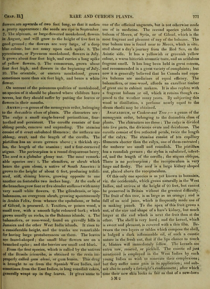 flowers are upwards of two feet long, so that it makes a pretty appearance : the seeds are ripe in September. 7. The alpinum, or large-flowered monkshood, flowers in August, and will grow to the height of live feet in good ground ; the flowers are very large, of a deep blue colour, but not many upon each spike. 8. The pyreniacum, or Pyrenean monkshood, flowers in July. It grows about four feet high, and carries a long spike of yellow flowers. 9- The cammarum, grows about four feet high, and flowers in the beginning of July. 10. The orientale, or eastern monkshood, grows sometimes more than six feet high, and bears a white flower. On account of the poisonous qualities of monkshood, no species of it should be planted where children have access, lest they should suffer by putting the leaves or flowers in their mouths. Amyris ;—a genus of the monogynia order, belonging to the decandria class of plants. The characters are : The calyx a small single-leaved perianthium, four- toothed and persistent. The corolla consists of four oblong petals, concave and expanding. The stamina consist of 8 erect subulated filaments ; the anthers? are oblong, erect, and the length of the corolla. The pistillmn has an ovate germen above ; a thickish sty- lus, the length of the stamina ; and a four-cornered stigma. The pericarpium is a round drupaceous berry. The seed is a globular glossy nut. The most remark- able species are: 1. The eletnifera, or shrub which bears the gum elemi, a native of South America: it grows to the height of about 6 feet, producing trifoli- ated, stifti shining leaves, growing opposite to one another on footstalks two inches long. At the ends of 1 thebranchesgrow four or five slender stalksset with many- very small white flowers. 2. The gileadensis, or opo- balsatnum, an evergreen shrub, growing spontaneously in Arabia Felix, from whence the opobalsam, or balm of Gilead, is procured. 3. Toxifera, or poison wood, a i small tree, with a smooth light coloured bark; which grows usually on rocks, in the Bahama islands. 4. The , balsamifera, or rose-wood, found on gi-avelly hills in Jamaica and the other West India islands. It rises to a considerable height, and the trunks are remarkable for having large protuberances on them. The leaves are laurel-shaped ; the small blue flowers are on a branched spike ; and the berries are small and black. From the first species, which is called by the natives of the Brasils icicariba, is obtained to the resin im- properly called yum elemi, or gum lemon. This drug is brought to us from the Spanish West Indies, and sometimes from the East Indies, in long roundish, cakes, generally wrapt up in flag leaves. It gives name to one of the officinal unguents, but is not otherwise made use of in medicine. The second species yields the balsam of Mecca, of Syria, or of Gilead, which is the most fragrant and pleasant of any of the balsams. The true balsam tree is found near to Mecca, which is situ- ated about a day’s journey from the lied Sea, on the Asiatic side. It has a yellowish or greenish yellow colour, a warm bitterish aromatic taste, and an acidulous fragrant smell. It has long been held in great esteem, and recommended in a great variety of complaints ; but now it is generally believed that he Canada and copa- iva balsams are medicines of equal efficacy. The balsamifera, or rose-wood, affords an excellent timber of great use to cabinet makers. It is also replete with a fragrant balsam or oil, which it retains though ex- posed to the weather many years. By subjecting this wood to distillation, a perfume nearly equal to the oleum rhodii may be obtained. Anacardium, or Cashew-nut Tree ;— a genus of the monogynia order, belonging to the decandria class of plants. The characters are these : The calyx is divided into five parts, the divisions ovate and deciduous. The corolla consist of five reflected petals, twice the length of the calyx. The stamina consist of ten capillary filaments shorter than the calyx, one of them castrated ; the antherae are small and roundish. The pistillum has a roundish germen ; the stylus is subulated, inflect- ed, and the length of the corolla; the stigma oblique. There is no pericarpium; the receptaculum is very large and fleshy. The seed is a large kidney shaped nut, placed above the receptaculum. Of this only one species is as yet known to botanists, viz. the occidentale, which grows naturally in the West Indies, and arrives, at the height of 20 feet, but cannot be preserved in Britain without the greatest difficulty. The fruit of this tree, is as large as an orange ; and is full of an acid juice, which is frequently made use of in making punch. To the apex of this fruit grows a nut, of the size and shape of a hare’s kidney, but much larger at the end which is next the fruit than at the other. The shell is very hard ; and the kernel, which is sweet and pleasant, is covered with a thin film. Be- tween the two layers or tables which compose the shell, is lodged a dark inflammable oil, of such a caustic nature in the fresh nut, that if the lips chance to touch it, blisters will immediately follow. The kernels are eaten raw7, roasted, or pickled. The caustic oil just mentioned is employed in the M est Indies by such young ladies as wish to renovate their complexions; but they suffer some pain in its application ; and sub- mit also to nearly a fortnight’s confinemelit; after which time their new skin looks as fair as that of a new-born 5M 2