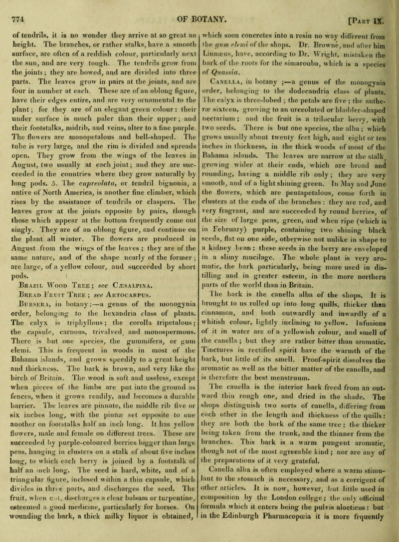 of tendrils, it is no wonder tliey arrive at so great an height. The branches, or rather stalks,have a smooth surface, are often of a reddish colour, particularly next the sun, and are very tough. The tendrils grow from the joints; they are bowed, and are divided into three parts. The leaves grow in pairs at the joints, and are four in number at each. These are of an oblong figure, have their edges entire, and are very ornamental to the plant; for they are of an elegant green colour: their under surface is much paler than their upper; and their footstalks, midrib, and veins, alter to a fine purple. The flowers are monopetalous and bell-shaped. The tube is very large, and the rim is divided and spreads open. They grow from the wings of the leaves in August, two usually at each joint; and they are suc- ceeded in the countries where they grow naturally by long pods. 5. The cupreo/ata, or tendril bignonia, a native of North America, is another fine climber, which rises by the assistance of tendrils or claspers. The leaves grow at the joints opposite by pairs, though those which appear at the bottom frequently come out singly. They are of an oblong figure, and continue on the plant all winter. The flowers are produced in August from the wings of the leaves ; they are of the same nature, and of the shape nearly ot the former ; are large, of a yellow colour, and succeeded by short pods. I Brazil Wood Tree; see C;esalpina. Bread Fruit Tree ; see Artocarpus. Bursera, in botany;—a genus of the monogynia order, belonging to the hexandria class of plants. The calyx is triphyllous; the corolla tripetalous; the capsule, carnous, trivalved, and monospermous. There is but one species, the gummifera, or gum elemi. This is frequent in woods in most of the Bahama islands, and grows speedily to a great height and thickness. The bark is brown, and very like the birch of Britain. The wood is soft and useless, except when pieces of the limbs are put into the ground as fences, when it grows readily, and becomes a durable barrier. The leaves are pinnate, the middle rib five or six inches long, with the pinnae set opposite to one another on footstalks half an inch long. It has yellow flowers, male and female on different trees. These are succeeded by purple-coloured berries bigger than large peas, hanging in clusters on a stalk of about five inches long-, to which each berry is joined by a footstalk of half an inch long. The seed is hard, white, and of a triangular figure, inclosed within a thin capsule, which divides in tim e parts, and discharges the seed. The fruit, when e it, discharges a clear balsam or turpentine, esteemed a good medicine, particularly for horses. On wounding the bark, a thick milky liquor is obtained. [Part IX. which soon concretes into a resin no way different from the gum elemi of the shops. Dr. Browne, and after him Linnaeus, have, according to Dr. Wright, mistaken the bark of the roots for the simarouba, which is a species of Quassia. Canella, in botany ;—a genus of the monogynia order, belonging to the dodecandria class of plants. I he calyx is three-lobed ; the petals are five ; the anthe- roe sixteen, growing to an urceolated or bladder-shaped nectariuin ; and the fruit is a trilocular berry, with two seeds. There is but one species, the alba ; which grows usually about twenty feet high, and eight or ten inches in thickness, in the thick woods of most of the Bahama islands. The leaves are narrow at the stalky growing wider at their ends, which are broad and rounding, having a middle rib only; they are very smooth, and of a light shining green. In May and June the flowers, which are pentapetalous, come forth in clusters at the ends of the branches : they are red, and very fragrant, and are succeeded by round berries, of the size of large peas, green, and when ripe (which is in February) purple, containing two shining black seeds, flat on one side, otherwise not unlike in shape to a kidney bean ; these seeds in the berry are enveloped in a slimy mucilage. The whole plant is very aro- matic, the hark particularly, being move used in dis- tilling and in greater esteem, in the more northern parts of the world than in Britain. The bark is the canella alba of the shops. It is brought to us rolled up into long quills, thicker than cinnamon, and both outwardly and inwardly of a whitish colour, lightly inclining to yellow. Infusions of it in water are of a yellowish colour, and smell of the canella ; but they are rather bitter than aromatic. Tinctures in rectified spirit have the warmth of the bark, but little of its smell. Proof-spirit dissolves tho aromatic as well as the bitter matter of the canella, and is therefore the best menstruum. The canella is the interior bark freed from an out- ward thin rough one, and dried in the shade. The shops distinguish two sorts of canella, differing from each other in the length and thickness of the quills: they are both the bark of the same tree; the thicker being taken from the trunk, and the thinner from the branches. This bark is a warm pungent aromatic, though not of the most agreeable kind; nor are any of the preparations of it very grateful. Canella alba is often employed where a warm stimu- lant to the stomach is necessary, and as a corrigent of other articles. It is now, however, but little used in composition by the London college; the only officinal formula which it enters being the pulvis aloeticus: but in the Edinburgh Pharmacopoeia it is more frquently