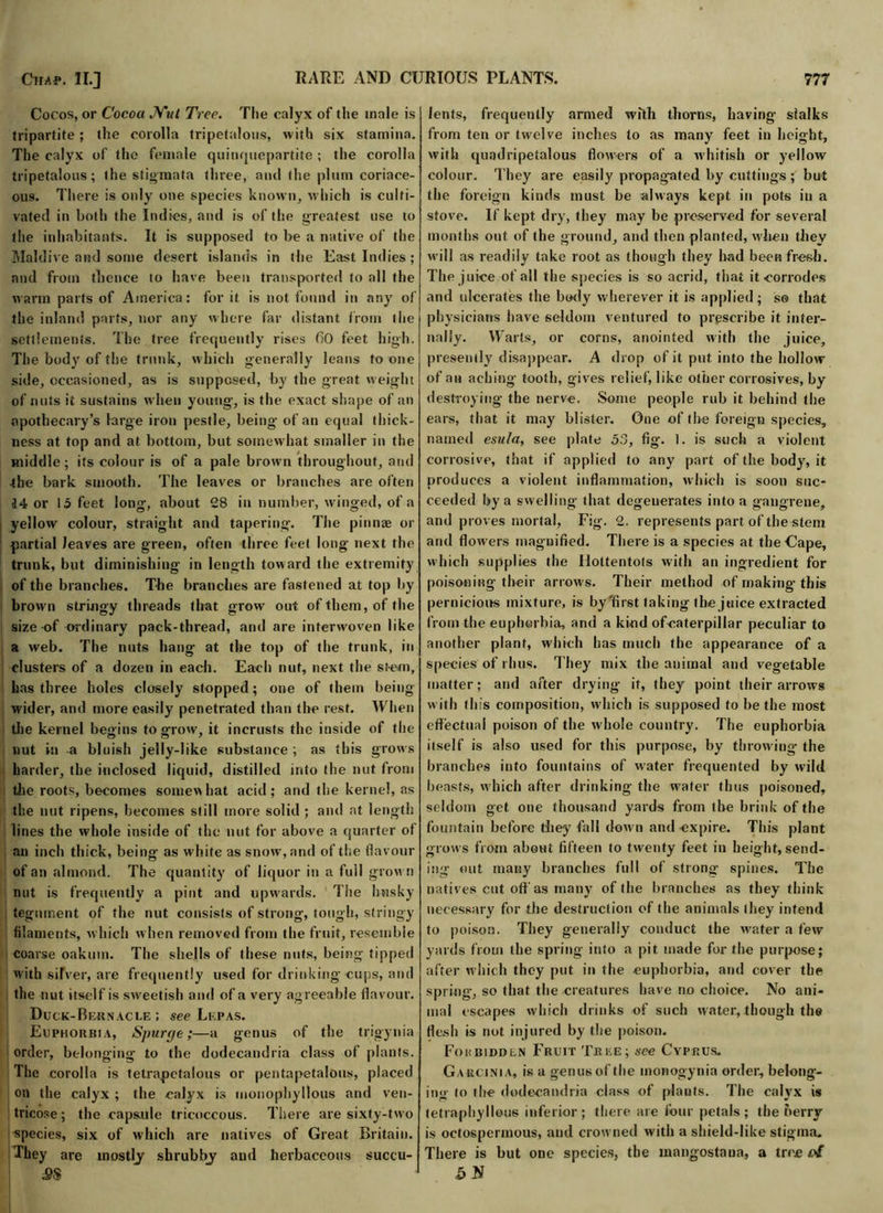 Cocos, or Cocoa Nut Tree. The calyx of the male is tripartite; the corolla tripetalous, with six stamina. The calyx of the female quinquepartite ; the corolla tripetalous; the stigmata three, and the plum coriace- ous. There is only one species known, which is culti- vated in both the Indies, and is of the greatest use to the inhabitants. It is supposed to be a native of the Maidive and some desert islands in the East Indies ; and from thence to have been transported to all the warm parts of America: for it is not found in any of the inland parts, nor any where far distant from the settlements. The tree frequently rises fiO feet high. The body of the trunk, which generally leans to one side, occasioned, as is supposed, by the great weight of nuts it sustains when young, is the exact shape of an apothecary’s large iron pestle, being of an equal thick- ness at top and at bottom, but somewhat smaller in the middle; its colour is of a pale brown throughout, and •the bark smooth. The leaves or branches are often J4 or la feet long, about 28 in number, winged, of a yellow colour, straight and tapering. The pinnae or partial leaves are green, often three feet long next the trunk, but diminishing in length toward the extremity of the branches. The branches are fastened at top by brown stringy threads that grow out of them, of the size of ordinary pack-thread, and are interwoven like a web. The nuts hang at the top of the trunk, in clusters of a dozen in each. Each nut, next the stem, has three holes closely stopped; one of them being wider, and more easily penetrated than the rest. When the kernel begins to grow, it incrusts the inside of the nut in a bluish jelly-like substance ; as this grows harder, the inclosed liquid, distilled into the nut from tlie roots, becomes somewhat acid; and the kernel, as the nut ripens, becomes still more solid ; and at length lines the whole inside of the nut for above a quarter of an inch thick, being as white as snow, and of the flavour of an almond. The quantity of liquor in a full grown nut is frequently a pint and upwards. The husky tegument of the nut consists of strong, tough, stringy filaments, which w hen removed from the fruit, resemble coarse oakum. The shells of these nuts, being tipped with silver, are frequently used for drinking cups, and the nut itself is sweetish and of a very agreeable flavour. Duck-Bernacle ; see Lkpas. Euphorbia, Spurge;—a genus of the trigynia order, belonging to the dodecandria class of plants. The corolla is tetrapetalous or pentapetalous, placed on the calyx ; the calyx is monophyilous and ven- tricose; the capsule tricoccous. There are sixty-two species, six of which are natives of Great Britain. They are mostly shrubby and herbaceous succu- £8 lents, frequently armed with thorns, having sfalks from ten or twrelve inches to as many feet in height, with quadripetalous flowers of a whitish or yellow colour. They are easily propagated by cuttings; but the foreign kinds must be always kept in pots in a stove. If kept dry, they may be preserved for several months out of the ground, and then planted, when they will as readily take root as though they had been fresh. The juice of all the species is so acrid, that it corrodes and ulcerates the body wherever it is applied; so that physicians have seldom ventured to prescribe it inter- nally. Warts, or corns, anointed with the juice, presently disappear. A drop of it put into the hollow of an aching tooth, gives relief, like other corrosives, by destroying the nerve. Some people rub it behind the ears, that it may blister. One of the foreign species, named esu/a, see plate 53, fig. 1. is such a violent corrosive, that if applied to any part of (he body, it produces a violent inflammation, which is soon suc- ceeded by a swelling that degenerates into a gangrene, and proves mortal, Fig. 2. represents part of the stem and flowers magnified. There is a species at the Gape, which supplies the Hottentots with an ingredient for poisoning their arrows. Their method of making’ this pernicious mixture, is by'first taking the juice extracted from the euphorbia, and a kind ofcaterpillar peculiar to another plant, which has much the appearance of a species of i hus. They mix the animal and vegetable matter; and after drying it, they point their arrows with this composition, which is supposed to be the most effectual poison of the whole country. The euphorbia itself is also used for this purpose, by throwing- the branches into fountains of water frequented by wild beasts, which after drinking the w'ater thus poisoned, seldom get one thousand yards from the brink of the fountain before they fall down and expire. This plant grows from about fifteen to twenty feet in height, send- ing out many branches full of strong spines. The natives cut off as many of the branches as they think necessary for the destruction of the animals (hey intend to poison. They generally conduct the water a few yards from the spring into a pit made for the purpose; after which they put in the euphorbia, and cover the spring, so that the creatures have no choice. No ani- mal escapes which drinks of such water, though the flesh is not injured by the poison. Fohbiddln Fruit Tree; see Cyprus. Garcinia, is a genus of the monogynia order, belong- ing to the dodecandria class of plants. The calyx is tetraphyllous inferior; there are lour petals; the nerrv is octosperinous, and crowned with a shield-like stigma. There is but one species, the mongostoua, a tree of SN