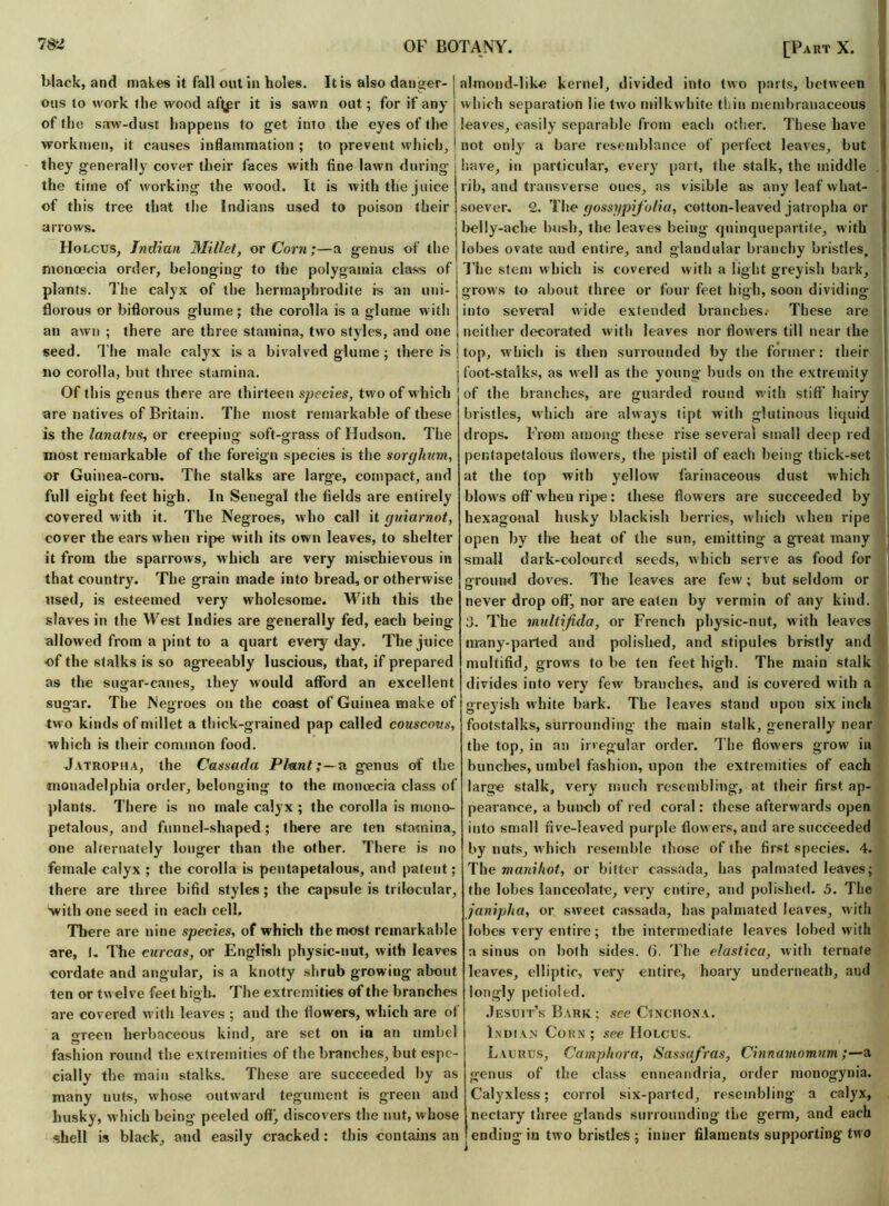 black, and makes it fall out in holes. It is also danger- ous to work the wood a%r it is sawn out; for if any of the saw-dust happens to get into the eyes of the workmen, it causes inflammation ; to prevent which, they generally cover their faces with fine lawn during the time of working the wood. It is with the juice of this tree that the Indians used to poison their arrows. Holcus, Indian Millet, or Corn;—a genus of the moncecia order, belonging to the polygamia class of plants. The calyx of the hermaphrodite is an uni- florous or biflorous glume; the corolla is a glume with an awn ; there are three stamina, two styles, and one seed. The male calyx is a bivalved glume ; there is no corolla, but three stamina. Of this genus there are thirteen species, two of which are natives of Britain. The most remarkable of these is the lanatvs, or creeping soft-grass of Hudson. The most remarkable of the foreign species is the sorghum, or Guinea-corn. The stalks are large, compact, and full eight feet high. In Senegal the fields are entirely covered with it. The Negroes, who call it guiarnot, cover the ears when ripe with its own leaves, to shelter it from the sparrows, which are very mischievous in that country. The grain made into bread, or otherwise used, is esteemed very wholesome. With this the slaves in the West Indies are generally fed, each being- allowed from a pint to a quart everyday. The juice of the stalks is so agreeably luscious, that, if prepared as the sugar-canes, they would afford an excellent sugar. The Negroes on the coast of Guinea make of two kinds of millet a thick-grained pap called couscous, which is their common food. Jvtropiia, the Cassada Plant;—a genus of the monadelphia order, belonging to the moncecia class of plants. There is no male calyx ; the corolla is mono- pefalous, and funnel-shaped; there are ten stamina, one alternately longer than the other. There is no female calyx ; the corolla is pentapetalous, and patent; there are three bifid styles; the capsule is trilocular, with one seed in each cell. There are nine species, of which the most remarkable are, I. The curcas, or English physic-nut, with leaves cordate and angular, is a knotty shrub growing about ten or twelve feet high. The extremities of the branches are covered with leaves ; and the flowers, which are of a green herbaceous kind, are set on iu an umbel fashion round the extremities of the brandies, but espe- cially the main stalks. These are succeeded by as many nuts, whose outward tegument is green and husky, which being peeled off', discovers the nut, whose shell is black, and easily cracked: this contains an almond-like kernel, divided into two parts, between which separation lie two milkvvhite thin membranaceous leaves, easily separable from each other. These have not only a bare resemblance of perfect leaves, but have, in particular, every part, the stalk, the middle rib, and transverse ones, as visible as any leaf what- soever. 2. The gossypifolia, cotton-leaved jatropha or belly-ache bush, the leaves being quinquepartite, with lobes ovate and entire, and glandular branchy bristles. The stem which is covered with a light greyish bark, grows to about three or four feet high, soon dividing into several wide extended branches. These are neither decorated with leaves nor flowers till near the top, which is then surrounded by the former: their foot-stalks, as well as the young buds on the extremity of the branches, are guarded round with stiff hairy bristles, which are always tipt with glutinous liquid drops. From among these rise several small deep red pentapetalous flowers, the pistil of eacii being thick-set at the top with yellow farinaceous dust which blows off' w hen ripe: these flowers are succeeded by hexagonal husky blackish berries, which when ripe open by the heat of the sun, emitting a great many small dark-coloured seeds, which serve as food for ofround doves. The leaves are few; but seldom or never drop offj nor are eaten by vermin of any kind, d. The multifida, or French physic-nut, with leaves many-parted and polished, and stipules bristly and multifid, grows to be ten feet high. The main stalk divides into very few' branches, and is covered with a greyish white bark. The leaves stand upon six inch footstalks, surrounding the main stalk, generally near the top, in an irregular order. The flowers grow iu bunches, umbel fashion, upon the extremities of each large stalk, very much resembling, at their first ap- pearance, a bunch of red coral: these afterwards open into small five-leaved purple flow ers, and are succeeded by nuts, which resemble those of the first species. 4. The manihot, or bitter cassada, has palmated leaves; the lobes lanceolate, very entire, and polished. 5. The janipha, or sweet cassada, has palmated leaves, with lobes very entire; the intermediate leaves Iobed with a sinus on both sides. 6. The elastica, with ternate leaves, elliptic, very entire, hoary underneath, and longly petioled. Jesuit’s Bark; see Cinchona. Indian Corn ; see Holcus. Laurus, Campkora, Sassafras, Cinnamomum;—a genus of the class enneandria, order mouogynia. Calyxless; corrol six-parted, resembling a calyx, nectary three glands surrounding the germ, and each | ending in two bristles; inner filaments supporting two