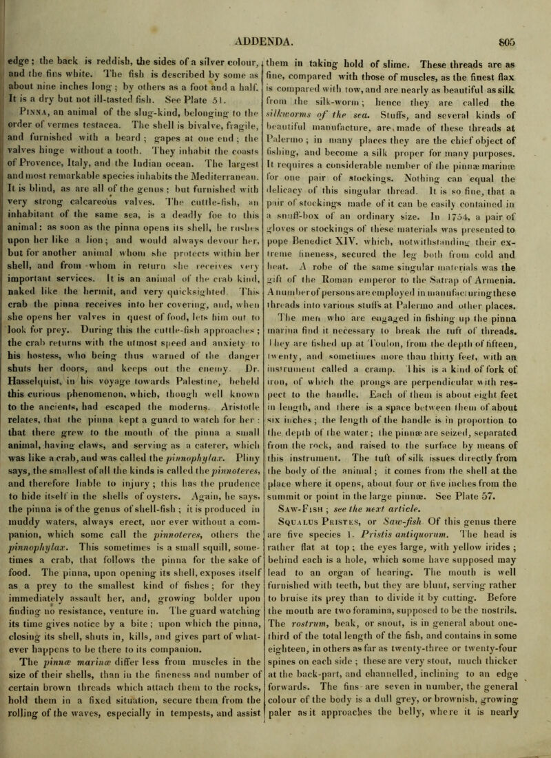 edge ; the back is reddish, the sides of a silver colour, and the fins white. The fish is described by some as about nine inches long; by others as a foot and a half. It is a dry but not ill-tasted fish. See Plate 51. Pinna, an animal of the slug-kind, belonging to thp order of vermes testacea. The shell is bivalve, fragile, and furnished with a beard ; gapes at one end ; the valves hinge without a tooth. They inhabit the coasts of Provence, Italy, and the Indian ocean. The largest , and most remarkable species inhabits the Mediterranean. [ It is blind, as are all of the genus ; but furnished with i very strong calcareous valves. The cuttle-fish, an j inhabitant of the same sea, is a deadly foe to this animal: as soon as the pinna opens its shell, he rushes upon her like a lion; and would always devour her, but for another animal whom she protects within her shell, and from whom in return she receives very I important services. It is an animal of the crab kind, ! naked like the hermit, and very quicksighted This crab the pinna receives into her covering, and, when i she opens her valves in quest of food, lets him out to | look for prey. During this the cuttle-fish approaches ; the crab returns with the utmost speed and anxiety to his hostess, who being thus warned of the danger shuts her doors, and keeps out the enemy Dr. Hasselquist, in his voyage towards Palestine, beheld this curious phenomenon, which, though well known to the ancients, had escaped the moderns. Aristotle relates, that the pinna kept a guard to watch for her : that there grew to the mouth of the pinna a small animal, having claws, and serving as a caterer, which was like a crab, and was called the pinnophylax. Pliny says, the smallest of all the kinds is called the pinnoteres, and therefore liable to injury; this has the prudence to hide itself in the shells of oysters. Again, he says, the pinna is of the genus of shell-fish ; it is produced in muddy waters, always erect, nor ever without a com- panion, which some call the pinnoteres, others the pinnophylax. This sometimes is a small squill, some- times a crab, that follows the pinna for the sake of food. The pinna, upon opening its shell, exposes itself as a prey to the smallest kind of fishes; for they immediately assault her, and, growing bolder upon finding no resistance, venture in. The guard watching its time gives notice by a bite ; upon which the pinna, closing its shell, shuts in, kills, and gives part of what- ever happens to be there to its companion. The pinna marines differ less from muscles in the size of their shells, than in the fineness and number of certain brown threads which attach them to the rocks, hold them in a fixed situation, secure them from the rolling of the waves, especially in tempests, and assist them in taking hold of slime. These threads are as fine, compared with those of muscles, as the finest flax is compared with tow, and are nearly as beautiful as silk from the silk-worm; hence they are called the silkworms of the sea. Stuffs, and several kinds of beautiful manufacture, are, made of these threads at Palermo ; in many places they are the chief object of fishing, and become a silk proper for many purposes. It requires a considerable number of the pinnae marime for one pair of stockings. Nothing can equal the delicacy of this singular thread. It is so fine, that a pair of stockings made of it can be easily contained in a snuff-box of an ordinary size. In 1754, a pair of gloves or stockings of these materials was presented to pope Benedict XIV. which, notwithstanding their ex- treme fineness, secured the leg both from cold and heat. A robe of the same singular materials was the gift of the Roman emperor to the Satrap of Armenia. A nu tuber of persons are employed in manufacturing these threads into various stuff's at Palermo and other places. The men who are engaged in fishing up the pinna marina find it necessary to break the tuft of threads. I hey are fished up at Toulon, from the depth of fifteen, twenty, and sometimes more than thirty feet, with an instrument called a cramp. Ihis is a kind of fork of iron, of which the prongs are perpendicular with res- pect to the handle. Each of them is about eight feet in length, and there is a space betw een them of about six inches; the length of the handle is in proportion to the depth of the water; the pinnse are seized, separated from the rock, and raised to the surface by means of this instrument. The tuft of silk issues directly from the body of the animal; it comes from the shell at the place where it opens, about four or five inches from the summit or point in the large pinme. See Plate 57. Saw-Fish ; see. the next article. Squalus Phistks, or Saw-fish Of this genus there are five species 1. Pristis antiquorum. The head is rather flat at top ; the eyes large, with yellow irides ; behind each is a hole, which some have supposed may lead to an organ of hearing. The mouth is well furnished with teeth, but they are blunt, serving rather to bruise its prey than to divide it by cutting. Before the mouth are tw o foramina, supposed to be the nostrils. The rostrum, beak, or snout, is in general about one- third of the total length of the fish, and contains in some eighteen, in others as far as twenty-three or twenty-four spines on each side ; these are very stout, much thicker at the back-part, and ehannelled, inclining to an edge forwards. The fins-are seven in number, the general colour of the body is a dull grey, or brownish, growing- paler as it approaches the belly, where it is nearly