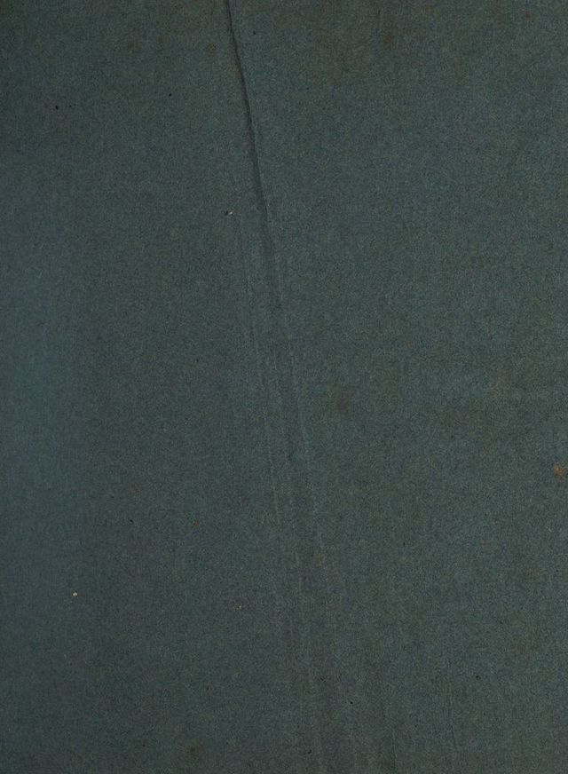 digitised image 3