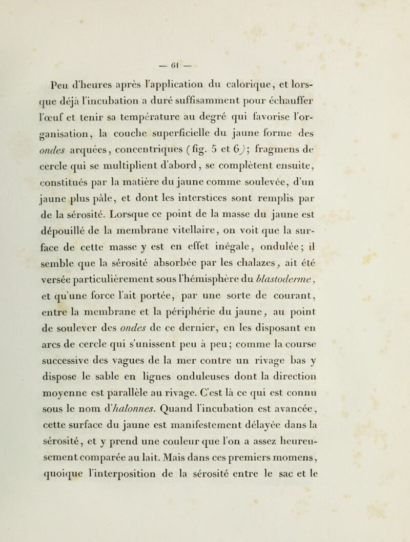 Peu d’heures après l’application du calorique, et lors- que déjà l’incubation a duré suffisamment pour échauffer l’œuf et tenir sa température au degré qui favorise l’or- ganisation, la couche superficielle du jaune forme des ondes arquées, concentriques (fig. 5 et 6J ; fragmens de cercle qui se multiplient d’abord, se complètent ensuite, constitués par la matière du jaune comme soulevée, d’un jaune plus pâle, et dont les interstices sont remplis par de la sérosité. Lorsque ce point de la masse du jaune est dépouillé de la membrane vitellaire, on voit que la sur- face de cette masse y est en effet inégale, ondulée; il semble que la sérosité absorbée par les chalazes, ait été versée particulièrement sous l’hémisphère du blastoderme, et qu’une force l’ait portée, par une sorte de courant, entre la membrane et la périphérie du jaune, au point de soulever des ondes de ce dernier, en les disposant en arcs de cercle qui s’unissent peu à peu; comme la course successive des vagues de la mer contre un rivage bas y dispose le sable en lignes onduleuses dont la direction moyenne est parallèle au rivage. C’est là ce qui est connu sous le nom à'halonnes. Quand l’incubation est avancée, cette surface du jaune est manifestement délayée dans la sérosité, et y prend une couleur que l’on a assez heureu- sement comparée au lait. Mais dans ces premiers momens, quoique l’interposition de la sérosité entre le sac et le