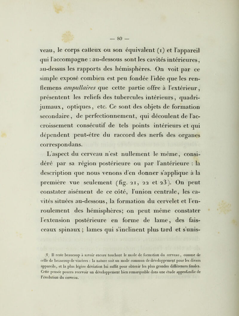 veau, le corps calleux ou son équivalent (i) et l’appareil qui l'accompagne : au-dessous sont les cavités intérieures, au-dessus les rapports des hémisphères. On voit par ce simple exposé combien est peu fondée l’idée que les ren- flemens ampullaires que cette partie offre à l’extérieur, présentent les reliefs des tubercules intérieurs, quadri- jumaux, optiques, etc. Ce sont des objets de formation secondaire, de perfectionnement, qui découlent de l’ac- croissement consécutif de tels points intérieurs et qui dépendent peut-être du raccord des nerfs des organes correspon dans. L’aspect du cerveau n’est nullement le même, consi- déré par sa région postérieure ou par l’antérieure : la description que nous venons d’en donner s’applique à la première vue seulement (fig. ai, aa et a3). On peut constater aisément de ce côté, l’union centrale, les ca- vités situées au-dessous, la formation du cervelet et l’en- roulement des hémisphères; on peut même constater l’extension postérieure en forme de lame, des fais- ceaux spinaux ; lames qui s’inclinent plus tard et s’unis- (1 ) Il reste beaucoup à savoir encore touchant le mode de formation du cerveau, comme de celle de beaucoup de viscères : la nature suit un mode commun de développement pour les divers appareils, et la plus légère déviation lui suffit pour obtenir les plus grandes différences finales. Cette pensée pourra recevoir un développement bien remarquable dans une étude approfondie de l’évolution du cerveau.