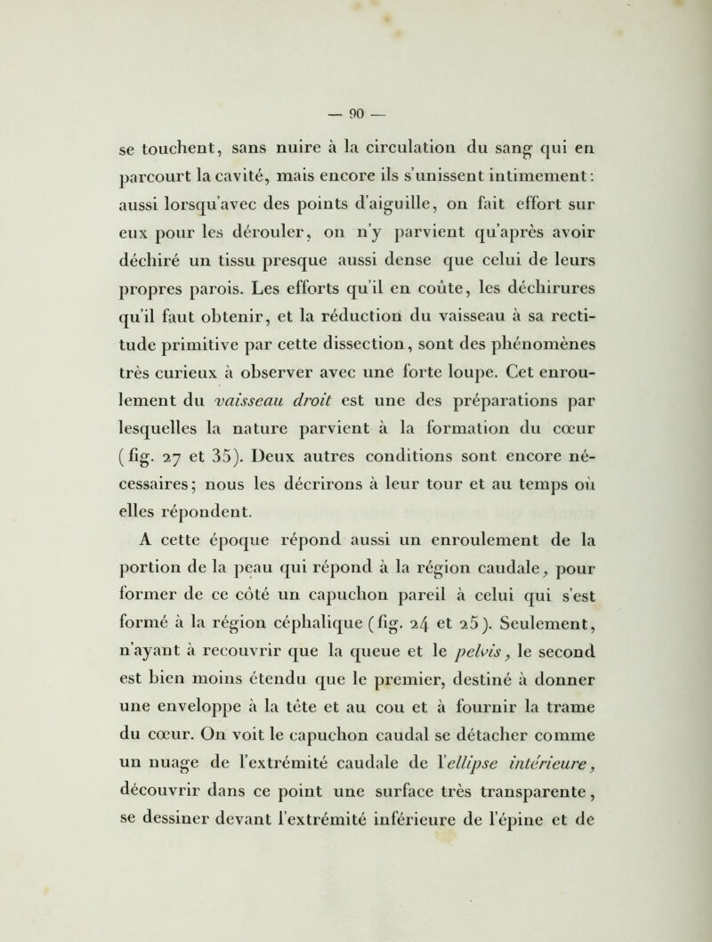 se touchent, sans nuire à la circulation du sang qui en parcourt la cavité, mais encore ils s’unissent intimement : aussi lorsqu’avec des points d’aiguille, on fait effort sur eux pour les dérouler, on n’y parvient qu’après avoir déchiré un tissu presque aussi dense que celui de leurs propres parois. Les efforts qu’il en coûte, les déchirures qu’il faut obtenir, et la réduction du vaisseau à sa recti- tude primitive par cette dissection, sont des phénomènes très curieux tà observer avec une forte loupe. Cet enrou- lement du vaisseau droit est une des préparations par lesquelles la nature parvient à la formation du cœur (fîg. 27 et 35). Deux autres conditions sont encore né- cessaires; nous les décrirons à leur tour et au temps où elles répondent. A cette époque répond aussi un enroulement de la portion de la peau qui répond à la région caudale, pour former de ce côté un capuchon pareil à celui qui s’est formé à la région céphalique (fig. 24 et 25). Seulement, n’ayant à recouvrir que la queue et le pelvis, le second est bien moins étendu que le premier, destiné à donner une enveloppe à la tète et au cou et à fournir la trame du cœur. On voit le capuchon caudal se détacher comme un nuage de l’extrémité caudale de Xellipse intérieure, découvrir dans ce point une surface très transparente, se dessiner devant l’extrémité inférieure de l’épine et de