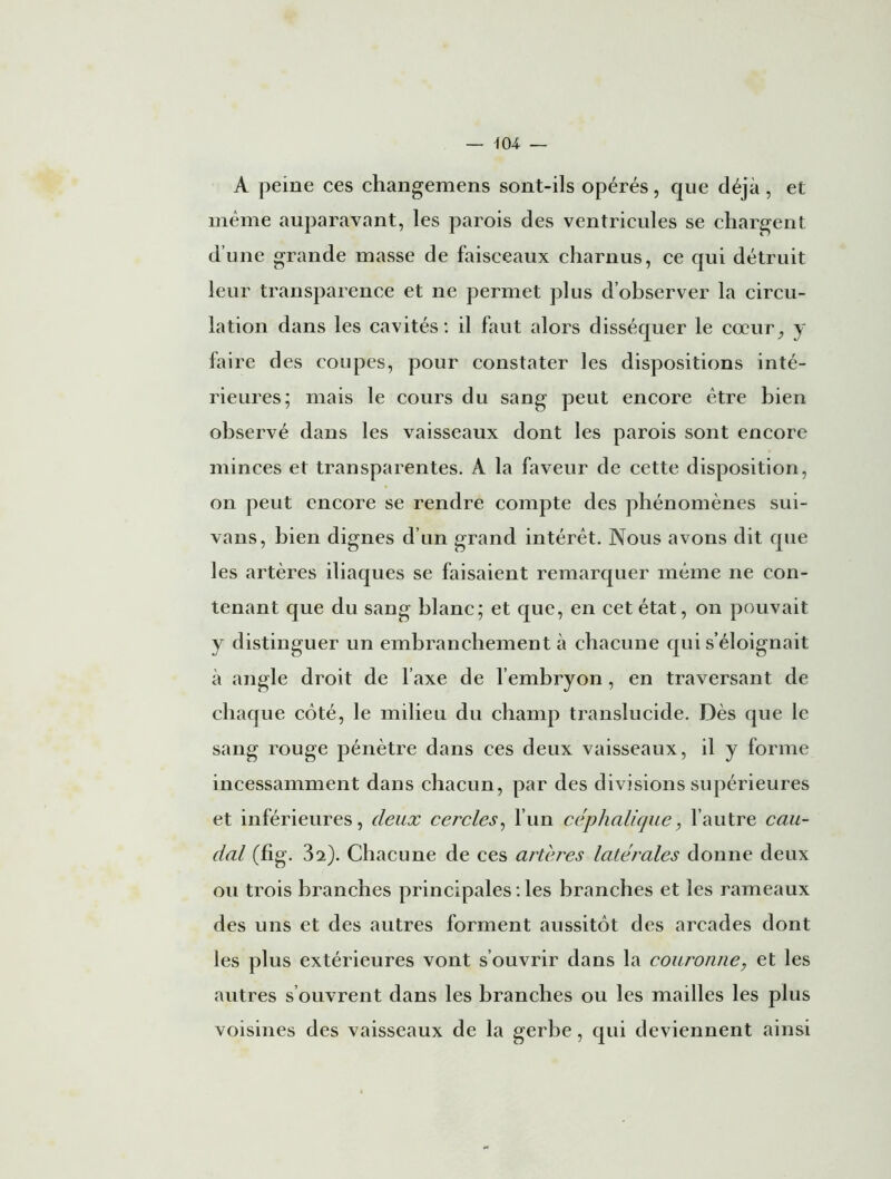 — 104- — A peine ces changemens sont-ils opérés, que déjà, et même auparavant, les parois des ventricules se chargent d’une grande masse de faisceaux charnus, ce qui détruit leur transparence et ne permet plus d’observer la circu- lation dans les cavités: il faut alors disséquer le cœur, y faire des coupes, pour constater les dispositions inté- rieures; mais le cours du sang peut encore être bien observé dans les vaisseaux dont les parois sont encore minces et transparentes. À la faveur de cette disposition, on peut encore se rendre compte des phénomènes sui- vans, bien dignes d’un grand intérêt. Nous avons dit cpie les artères iliaques se faisaient remarquer même ne con- tenant que du sang blanc; et que, en cet état, on pouvait y distinguer un embranchement à chacune qui s’éloignait à angle droit de l’axe de l’embryon, en traversant de chaque côté, le milieu du champ translucide. Dès que le sang rouge pénètre dans ces deux vaisseaux, il y forme incessamment dans chacun, par des divisions supérieures et inférieures, deux cercles, l’un céphalique, l’autre cau- dal (fig. 32). Chacune de ces artères latérales donne deux ou trois branches principales : les branches et les rameaux des uns et des autres forment aussitôt des arcades dont les plus extérieures vont s’ouvrir dans la couronne, et les autres s ouvrent dans les branches ou les mailles les plus voisines des vaisseaux de la gerbe, qui deviennent ainsi