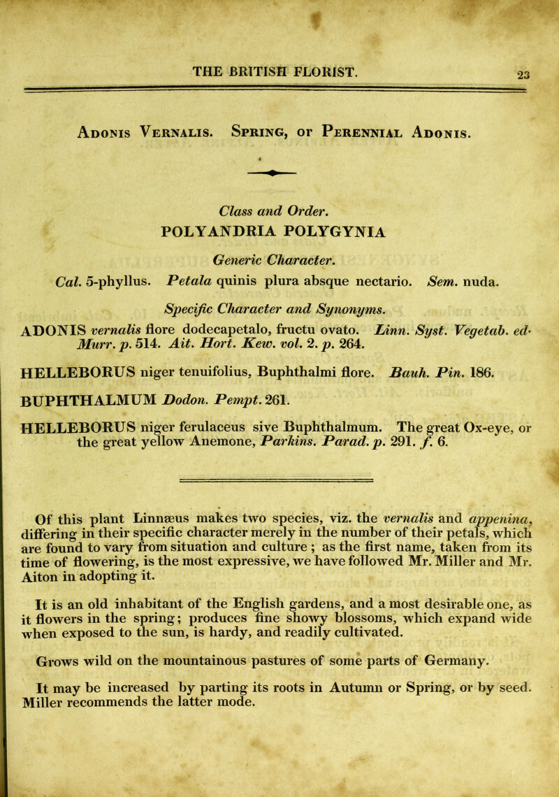 Adonis Vernalis. Spring, or Perennial Adonis. Class and Order. POLYANDRIA POLYGYNIA Generic Character. Cal. 5-phyllus. Pet ala quinis plura absque nectario. Sem. nuda. Specific Character and Synonyms. ADONIS vernalis flore dodecapetalo, fructu ovato. Linn. Syst. Vegetab. ed- Murr. p. 514. Ait. Hort. Kew. vol. 2. p. 264. HELLEBORUS niger tenuifolius, Buphthalmi flore. Bauh. Pin. 186. BUPHTHALMUM Bodon. Pempt. 261. HELLEBORUS niger ferulaceus sive Buphthalmum. The great Ox-eye, or the great yellow Anemone, Parkins. Parad.p. 291. f. 6. Of this plant Linnaeus makes two species, viz. the vernalis and appenina, differing in their specific character merely in the number of their petals, which are found to vary from situation and culture ; as the first name, taken from its time of flowering, is the most expressive, we have followed Mr. Miller and Mr. Aiton in adopting it. It is an old inhabitant of the English gardens, and a most desirable one, as it flowers in the spring; produces fine showy blossoms, which expand wide when exposed to the sun, is hardy, and readily cultivated. Grows wild on the mountainous pastures of some parts of Germany. It may be increased by parting its roots in Autumn or Spring, or by seed. Miller recommends the latter mode.