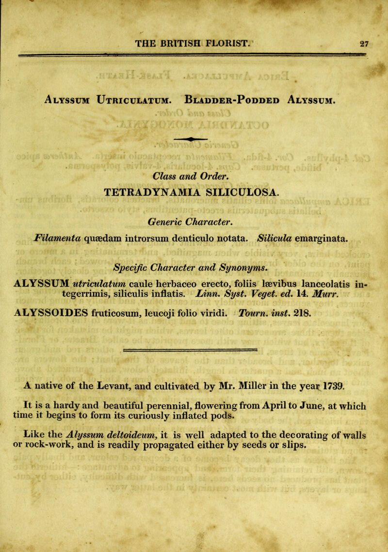 Alyssum: Utriculatum. Bladder-Podded Alyssum. Class and Order. TETRAD YNAMIA SILICULOSA. Generic Character. Filamenta qusedam introrsum denticulo notata. Silicula emarginata. Specific Character and Synonyms. ALYSSUM utriculatum caule herbaceo erecto, foliis lsevibus lanceolatis in- tegerrimis, siliculis inflatis. Linn. Syst. Veget. ed. 14. Murr. ALYSSOIDES fruticosum, leucoji folio viridi. Tourn. inst. 218. A native of the Levant, and cultivated by Mr. Miller in the year 1739. It is a hardy and beautiful perennial, flowering from April to June, at which time it begins to form its curiously inflated pods. Like the Alyssum deltoideum, it is well adapted to the decorating of walls or rock-work, and is readily propagated either by seeds or slips.