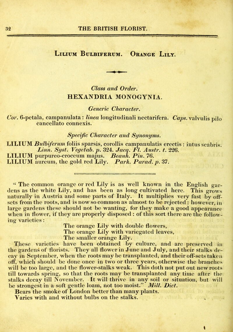Lilium Bulbiferum. Orange Lily. Class and Orde>\ HEXANDRIA MONOGYNIA. Generic Character. Cor. 6-petala, campanulata : linea longitudinali nectarifera. Caps, valvulis pilo cancellato connexis. Specific Character and Synonyms. LILIUM Bulbiferum foliis sparsis, corollis campanulatis erectis : intus scabris, Linn. Syst. Vegetab. p. 324. Jacq. FI. Austr. t. 226. LILIUM purpureo-croceum majus. Beauh. Pin. 76. LILIUM aureum, the gold red Lily. Park. Parad. p. 37. “ The common orange or red Lily is as well known in the English gar- dens as the white Lily, and has been as long cultivated here. This grows naturally in Austria and some parts of Italy. It multiplies very fast by off- sets from the roots, and is now so common as almost to be rejected: however, in large gardens these should not be wanting, for they make a good appearance when in flower, if they are properly disposed : of this sort there are the follow- ing varieties: The orange Lily with double flowers. The orange Lily with variegated leaves, The smaller orange Lily. These varieties have been obtained by culture, and are preserved in the gardens of florists. They all flower in June and July, and their stalks de- cay in September, when the roots may be transplanted, and their off-sets taken off, which should be done once in two or three years, otherwise the branches will be too large, and the flower-stalks weak. This doth not put out new roots till towards spring, so that the roots may be transplanted any time after the stalks decay till November. It will thrive in any soil or situation, but will be strongest in a soft gentle loam, not too moist.” Mill. Diet. Bears the smoke of London better than many plants. Varies with and without bulbs on the stalks. t