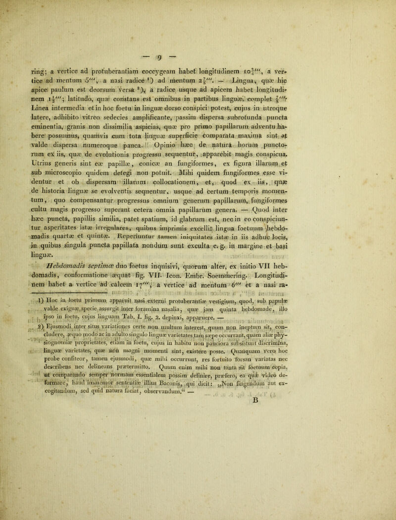 ring; a vertice ad protiiberantiani coccygeam habet longitudinem a ver^- tice ad mentum , a nasi radice ad mentum 2— Lingua, quae hic apice! paulum est deorsum versa a radice usque ad apicem habet longitudi- nem latitudo, quae constansiest omnibusfin partibus linguaeil complet Linea intermedia et in hoc foetu in linguae dorso conspici potest,i cujus in utroque latere, adhibito vitreo sedecies amplificante, passim dispersa subrotunda puncta eminentia, granis non dissimilia aspicias, quae pro primo papillarum; adventu ha- bere'possumus, quarhvis cum ttota linguae superficie comparata,.maxima sint, af valde dispersa numeroque pauca.di Opinio haec! de, naturi;i horum punctor rum ex iis, quae de evolutionis progressu sequentur, .apparebit magis conspicua. Utrius generis sint eae papillae, conicae an fungiformes, ex figura illarum,et sub microscopio quidem detegi non potuit. JMihi quidem fungiformes esse vi- dentur et ob dispersam’'filiarumj collocationem, 1.et,, quod ex r. iis,, quae de historia linguae se evolventis sequentur, usque ad certumjtemporis momen- tum, quo Compensantqr progressus omnium generum papillarum, fungiform,es cultu magis progresso superant cetera omnia papillarum genera. — Quod inter haec puncta, papillis similia, patet spatium, id glabrum est, nec in eo compiciun- tur asperitates istae irregulares, quibus imprimis excellit lingua foetuumm?bdp- madis quartae et quintae. Reperiuntur tamen iniquitates ustae in iis adhuc locis, in quibus singula punc.ta papillata nondum sunt exculta e. g. in margine et basi linguae. r i Hebdomadis septimce duo foetus inquisivi, quorum alter, ex initio VII heb- domadis, conformatione laeqiiatrfig. VII. Icon. Embr.-iSoemrhering* Longitudi- nem habet* a vertice'ad caleem 17' ,''a veirticeUd mehtutn '6' et a nasi ra- Ui! n- r Cf. .1) Hoc in loetu primum, apparuit nasi externi protuberantiae vestigium, quod, sub papulae valde exiguae,specie assurgit inter foramina nasalia, quae jam quinta hebdomade, ilio . , ipso in Ipetu, cujus linguam Tab, I. fig. 2. depinxi, apparuere. — . , S)| Ejusmodi.inter situs variationes certe non multum interest,.jquum non ineptum sit, con- ^ eludere, aequo rnodo ac in adulto singulo linguae varietates ,tati^ saepe occurrant, quam aliae pby- siognomiae proprietates, etiam in foetu, cujus in habitu non pahcibra subsistunt dismmin^ linguae varietates, quae non magni momenti sint, existere posse. Quaiiquam vero, hoc probe confiteor, tamen ejusmodi, quae mihi occurrunt, res fortuito forsan variatas nec describens nec delineans praetermitto. Quum enim mihi non tanta sit foetuum copia, ut' ceinparando' serhperHormain essentialem possim definire, praefero, ea quJe 'video de- formare,'' haud immemdfsenteiih®'illius Baconis'qui dicit: .„Non fiiiseiiclum aut ex- ' '?• j u V .u. t‘y n .1 Y ' * 1 cogitandum, sed quid natura faciat, observandum.^ — ' ■' b  ^