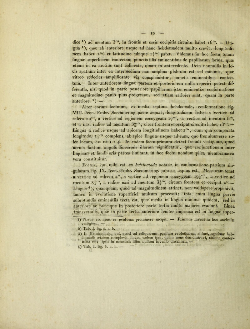 IO dice *) ad mentum 3^ in frontis et ossis occipitis circuitu habet — Lin- gua ®),iquae ab anteriore usque ad hanc hebdomadem multo crevit, longitudi- nem habet et latitudine* ubique i patet. Videmus in hoc foetu totam linguae superficiem contectam punctis illis'eminentibus de papillarum forma, quae etiam in ea arctius siintr collocata, quam in antecedente. Dein nonnullis in lo- cis spatium inter ea intermedium non amplius glabrum est sed minimis, quae vitreo sedecies amplificante vix conspiciuntur, punctis eminentibus contec- tum. Inter anteriorem linguae partem et 'posteriorem nulla reperiri potest dif- ferentia, nisi quod in parte posteriore papillarum istae eminentiae conformatione et magnitudine >paulo fplus progressae, sed etiam rariores sunt, quam in parte anteriore. — Alter eorum foetuum, ex media septima hebdomade, conformatione fig. ■VIII.'Icon. Emfer. Soemmering paene aequat; rlongitudinem habet a 'vertice ad calces 20', a vertice ad regionem coccygeam 17', a vertice ad mentum 8', et a nasi radice ad mentum 3g'; circa frontem et occiput circuitu habet 18'''.— Lingua a radice usque ad apicem longitudinem habet 2', cum qua comparata longitudo,- complens, ab apice linguae usque ad eum, quo frenulum esse so- let‘locilm, est ut i>: 4’. In eodem foetu primum detexi'frenuli vestigium,rquod acriori tantum angulo linearum illarum significatur, quae conjunctionem inter 'linguarn' et fundi oris'partes limitant, iri hoc foetu nondum plica membranacea vera constituitur. , Foetusqui, mihi est ex hebdomade octava in conformatione partium sin- -gularum fig. IX. Icon. rEmbr. Soemmering. prorsus aequus est. Mensuram tenet • a vertice ad calcem, 2, a vertice ad regionem coccygeam 195''/, a vertice ad mentum 8|', a radice nasi ad mentum circum frontem et occiput 2.— 'Lingua quanqnam, quod ad magnitudinem'attinet, non vaklopere properavit, tamen in evolutione superficiei multum processit; tota enim lingua parvis subrotundis eminentiis tecta'est, quae media in lingua minimae quidem, sed in anteriore'ac praecique'in posteriore parte tertia multo majores evadunt. Linea j transversalis, qi{^ in parte tertia anteriore leniter impressa est in'linguae super- 1) Niisus vix nunc se evolvens prominere incipit. — Primum inveni in hoc auricul® . vestigium, ^— ^ , ' ' ' .4, . , » . 2) Tabw L fig. ,4. a. b. — | ■ ,j 3) Jn Hepiicephalo, qui, .quod ad reliquarum partiiirn evolutionem attinet, .septimsp heb- ^ ,do,madis aetatem complevit, lingua eadem ipsa, quam nunc demonstravi, ratione confor- mata'est; 'ipsis in mensuiis illius nullum invenio discrimen. —