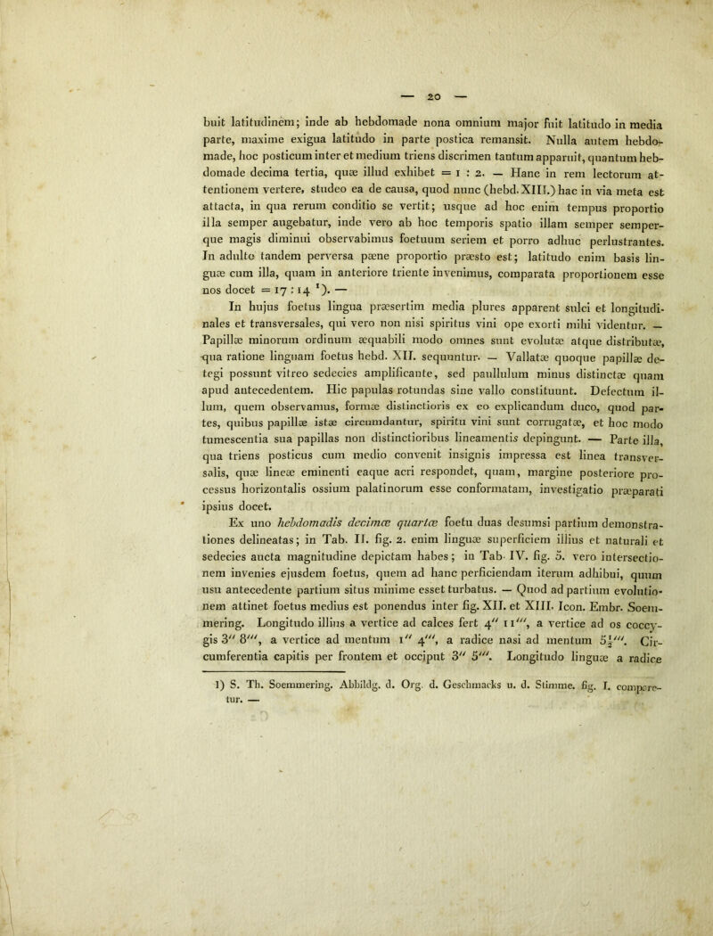 buit latitudinem; inde ab hebdomade nona omnium major fuit latitudo in media parte, maxime exigua latitudo in parte postica remansit. Nulla autem hebdo- made, hoc posticum inter et medium triens discrimen tantum apparuit, quantum heb- domade decima tertia, quae illud exhibet =1:2. — Hanc in rem lectorum at- tentionem vertere, studeo ea de causa, quod nunc (hebd. XIII.) hac in via meta est attacta, in qua rerum conditio se vertit; usque ad hoc enim tempus proportio illa semper augebatur, inde vero ab hoc temporis spatio illam semper semper- que magis diminui observabimus foetuum seriem et porro adhuc perlustrantes. Jn adulto tandem perversa paene proportio praesto est; latitudo enim basis lin- guae cum illa, quam in anteriore triente invenimus, comparata proportionem esse nos docet = 17 :14 *). — In hujus foetus lingua praesertim media plures apparent sulci et longitudi- nales et transversales, qui vero non nisi spiritus vini ope exorti mihi videntor. — Papillae minorum ordinum aequabili modo omnes sunt evolutae atque distributae, -qua ratione linguam foetus hebd. XII. sequuntur. — Vallatae quoque papillae de- tegi possunt vitreo sedecies amplificante, sed paullulum minus distinctae quam apud antecedentem. Hic papulas rotundas sine vallo constituunt. Defectum il- lum, quem observamus, formae distinctioris ex eo explicandum duco, quod par- tes, quibus papillae istae circumdantur, spiritu vini sunt corrugatae, et hoc modo tumescentia sua papillas non distinctioribus lineamentis depingunt. — Parte illa, qua triens posticus cum medio convenit insignis impressa est linea transver- salis, quae lineae eminenti eaque acri respondet, quam, margine posteriore pro- cessus horizontalis ossium palatinorum esse conformatam, investigatio praeparati ipsius docet. Ex uno hebdomadis decimce quartce foetu duas desumsl partium demonstra- tiones delineatas; in Tab. H. fig. 2. enim linguae superficiem illius et naturali et sedecies aucta magnitudine depictam habes; in Tab- IV. fig. 5. vero intersectio- nem invenies ejusdem foetus, quem ad hanc perficiendam iterum adhibui, quum usu antecedente partium situs minime esset turbatus. — Quod ad partium evolutio- nem attinet foetus medius est ponendus inter fig. XII. et XHL Icon. Embr. Soem- mering. Longitudo illius a vertice ad calces fert 4 ii''', a vertice ad os coccy- gis 3'' 8', a vertice ad mentum i'' 4', a radice nasi ad mentum Cir- cumferentia capitis per frontem et occiput 3 5'. Longitudo linguae a radice 1) S. Th. Soemmering. Abbiklg, cl. Org, d. Gescbmacbs u. d. Stimme. fig. I. compare- tur. —